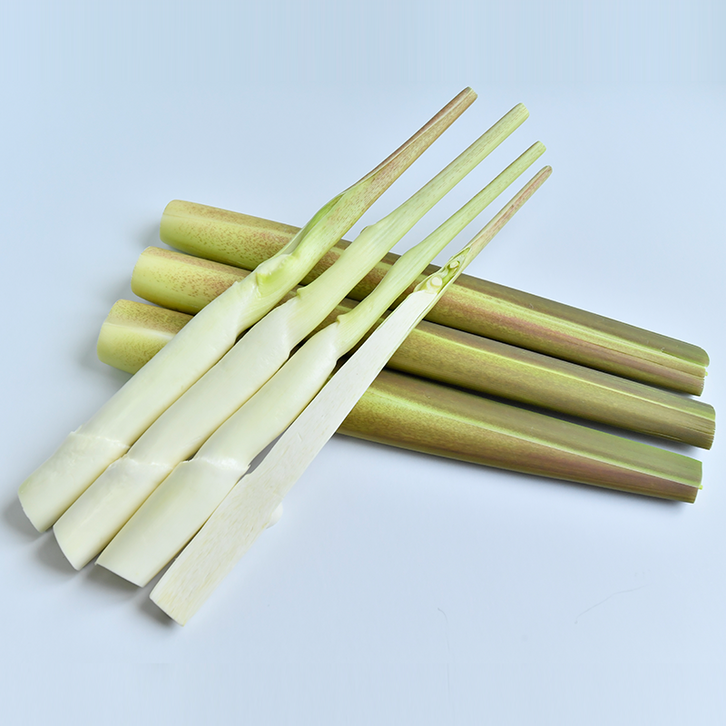 Water Bamboo