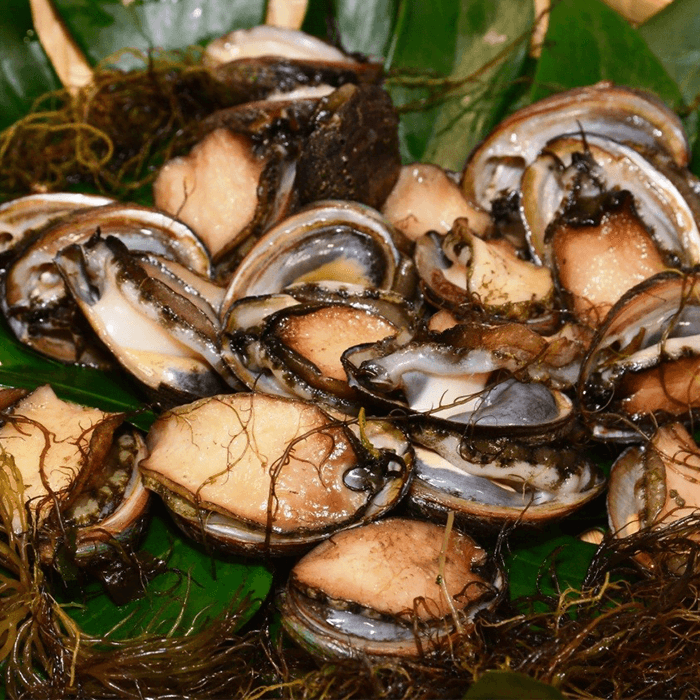 Gongliao Abalone