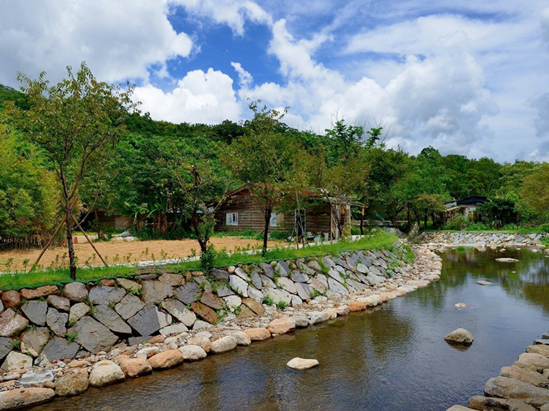 After the introduction ecological environment