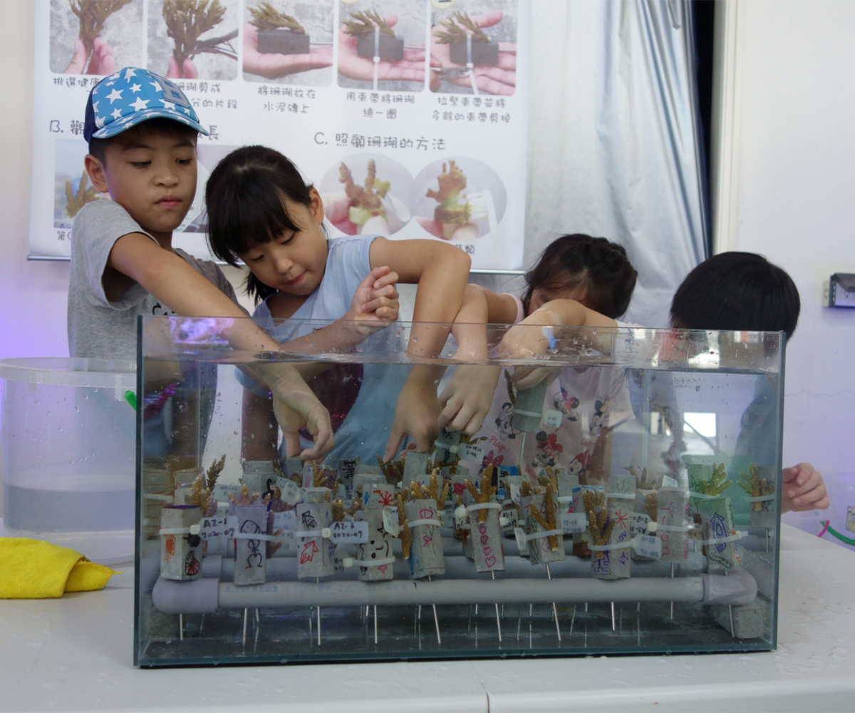 Coral Classroom Course activities and class status