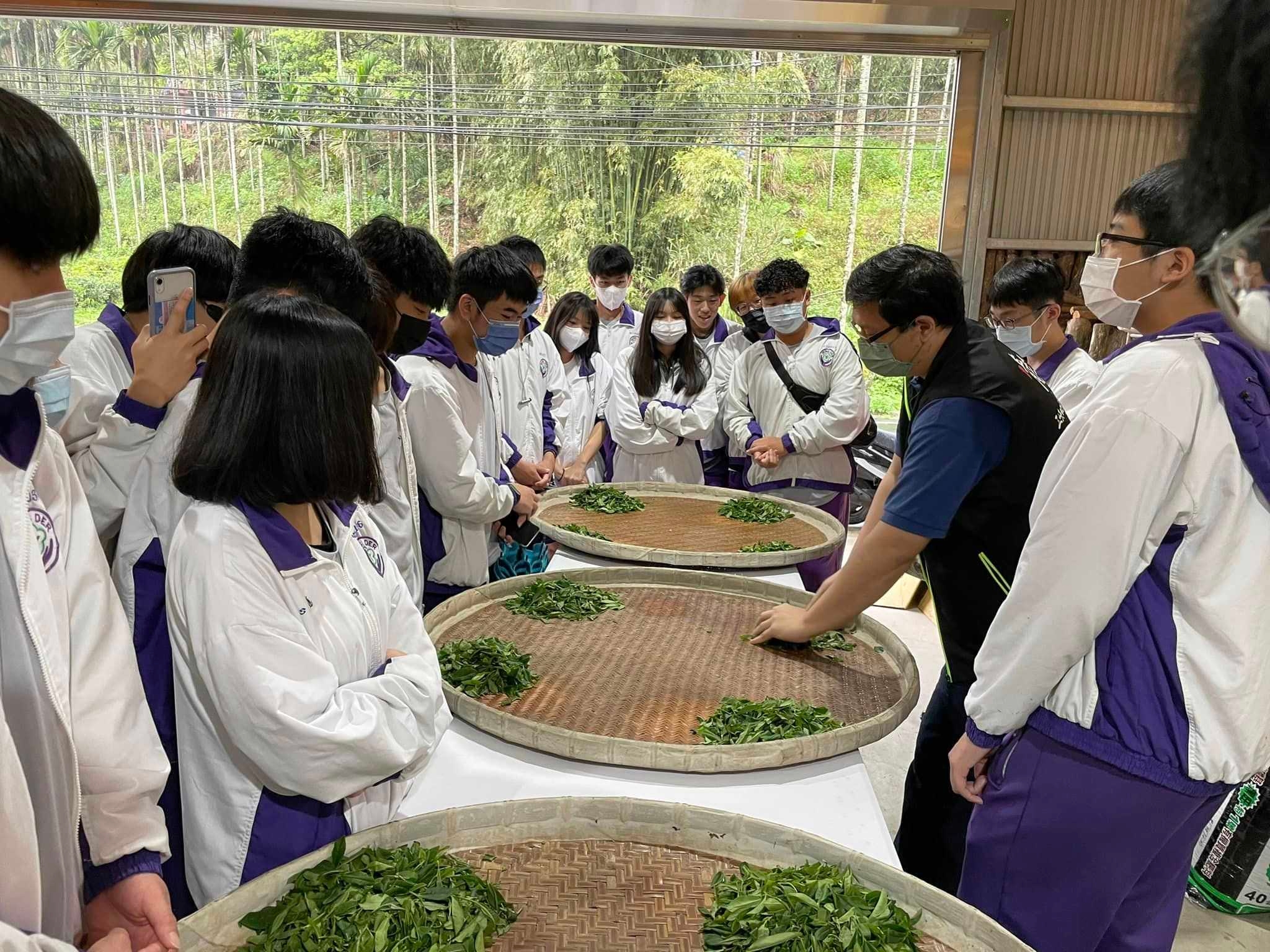 以茶入食 新北攜手北大合推三峽茶產業