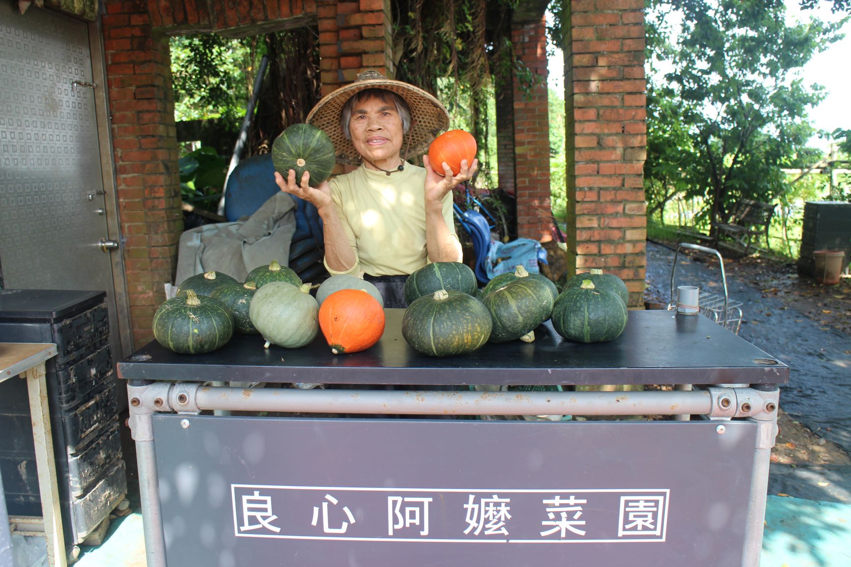「屯山阿嬤」謝簡素年年種出色彩繽紛的的南瓜