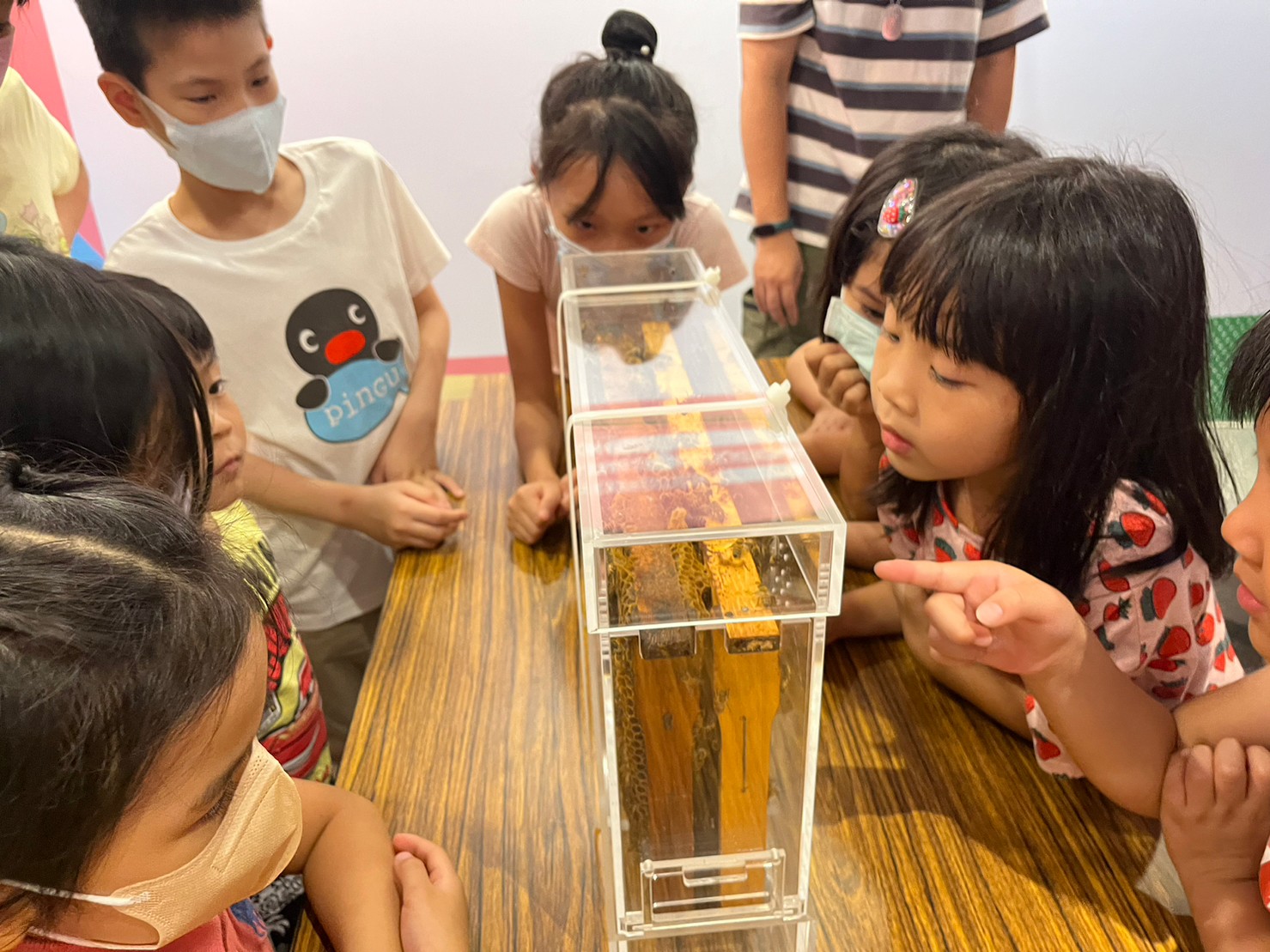 新北市政府農業局8月2至12日新北市府一樓大廳辦理食農教育展,展覽期間更有5場次免費的食農工作坊