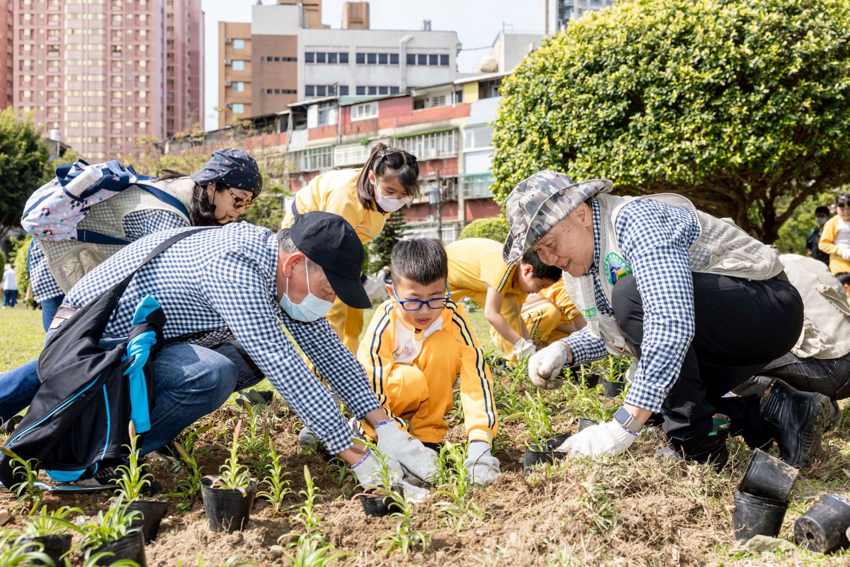 為了鼓勵民眾團體響應植樹造林,新北市長期免費提供各式造林及景觀苗木,今(15)日開始受理申請