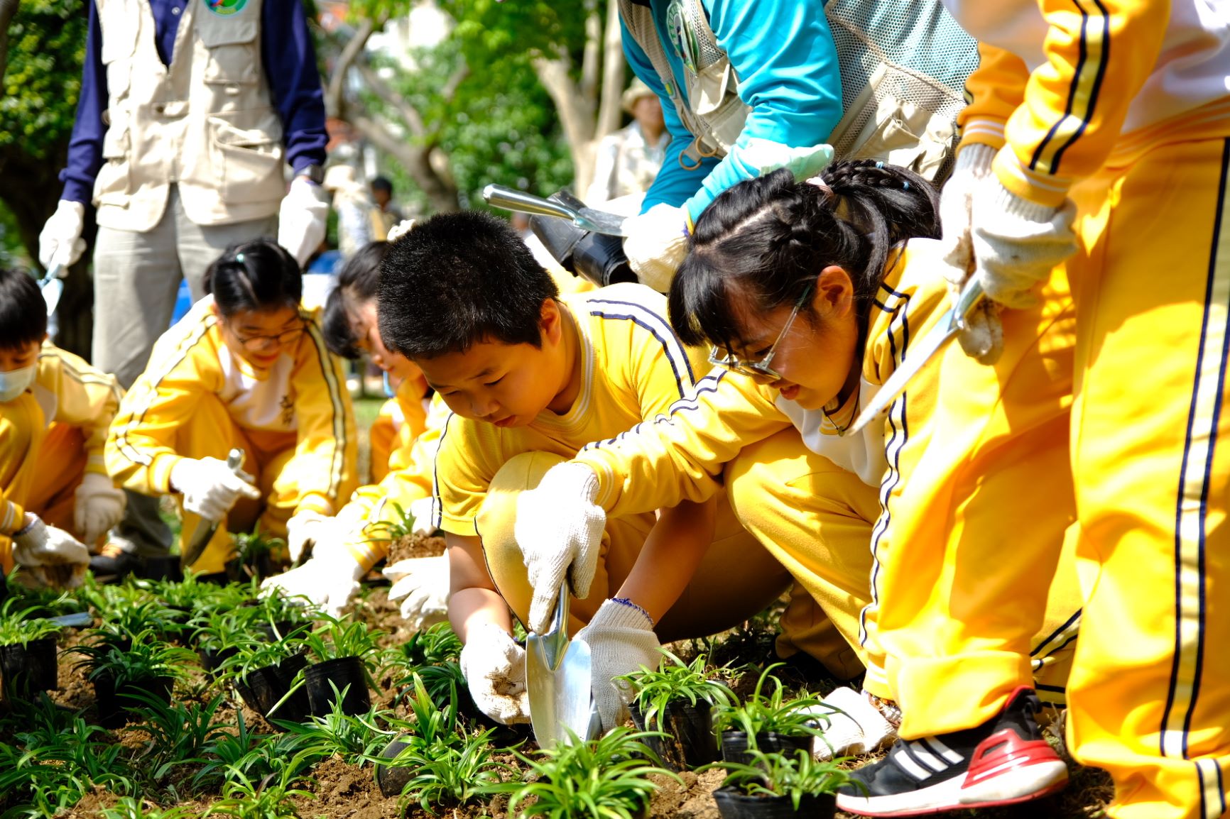 新北市推動計畫性植樹,號召民間團體共同響應