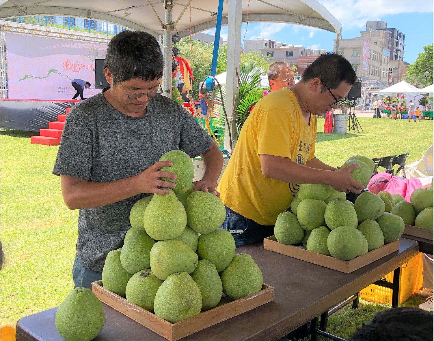 9月7、8日八里文旦柚展售會有食農教育闖關,包含疊文旦、釣文旦等5個關卡(資料照片)