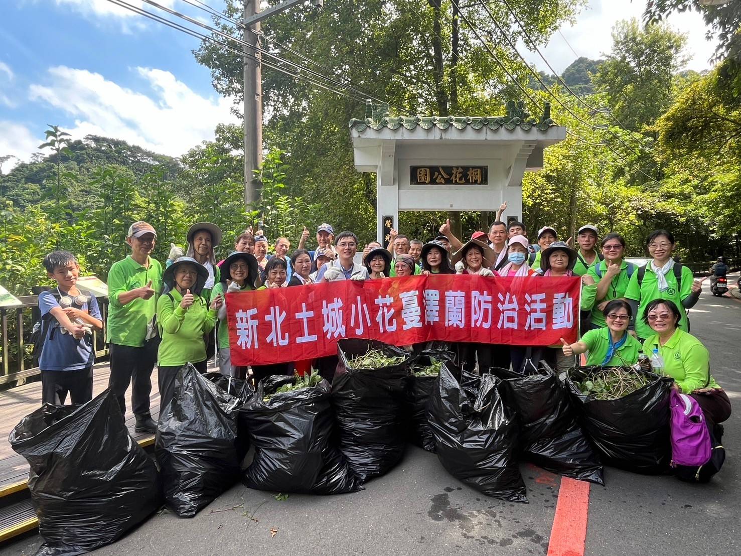 土城區志工清除小花蔓澤蘭_0