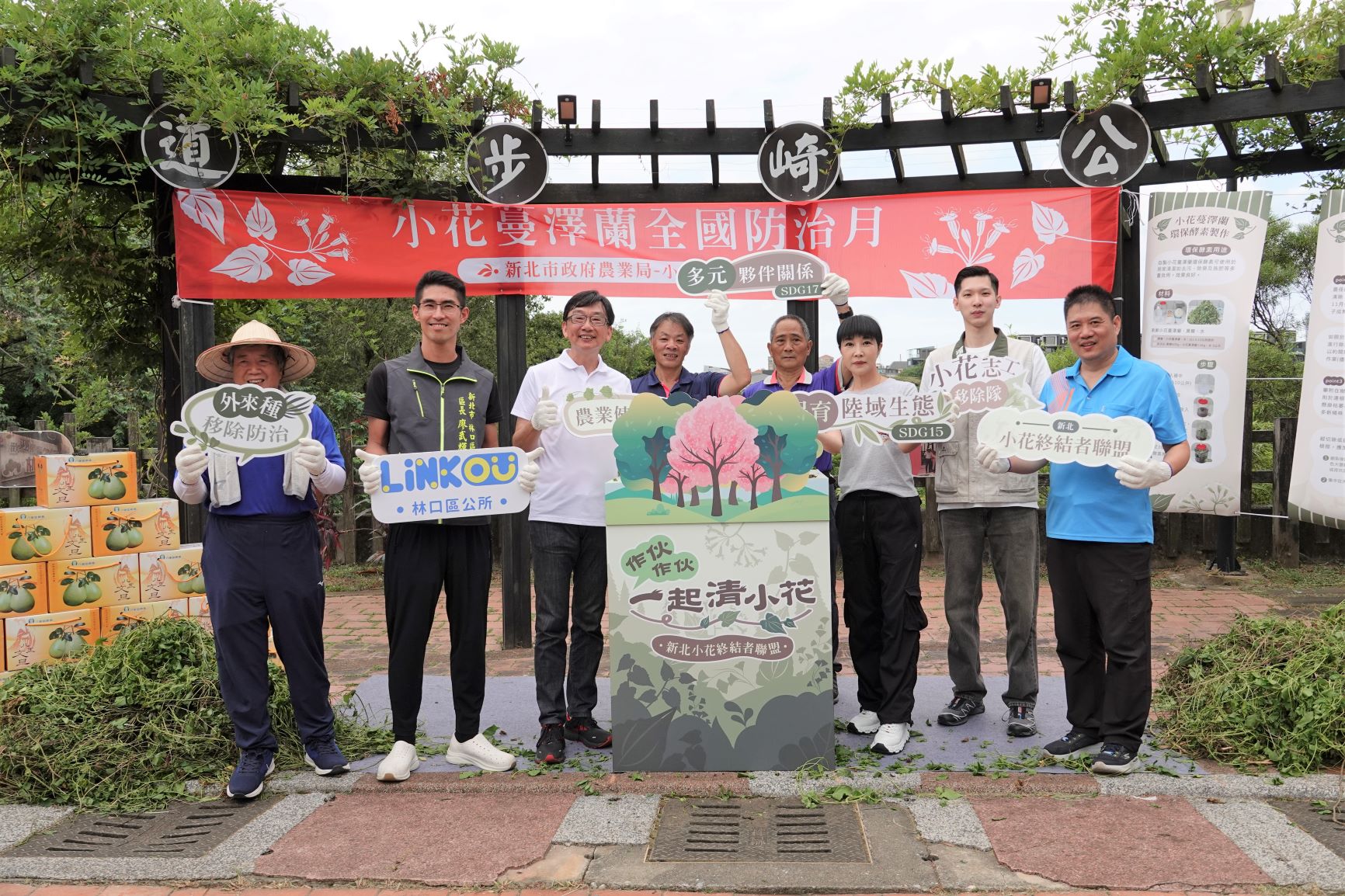 今(7)日為「小花蔓澤蘭全國防治日」，新北市政府農業局與林口區公所及林口觀光發展協_0