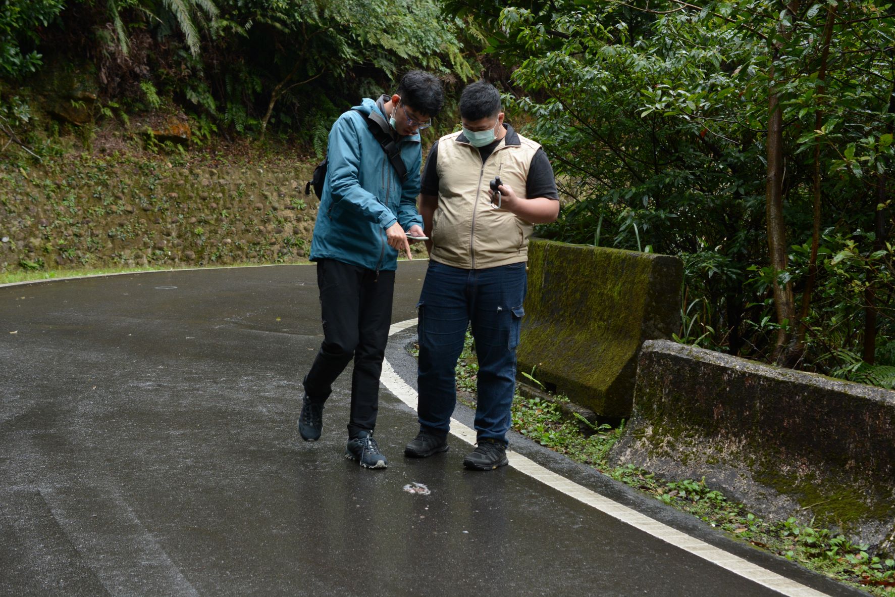 新北市於路殺熱點紀錄路殺種類進而規劃防路殺裝置如生態廊道或設警示標誌