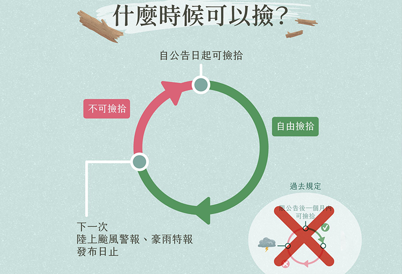 林業署撿拾漂流木說明文宣