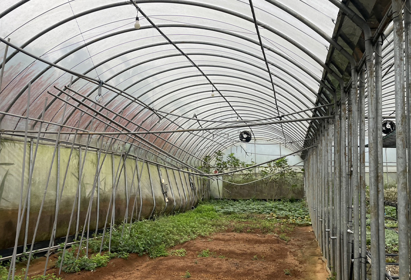 作物及栽培設施遭泥沙覆蓋及沖毀流失。_0