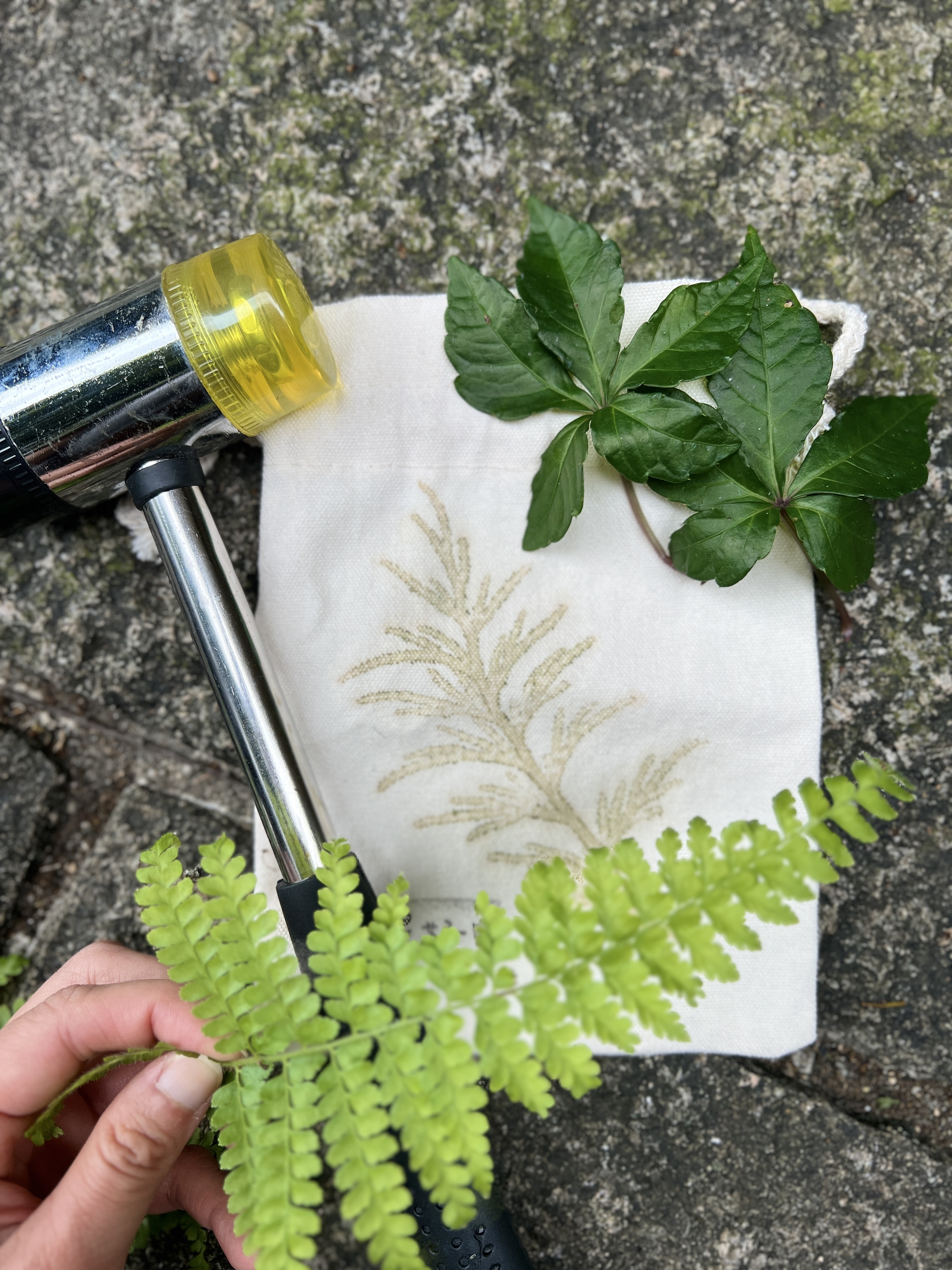 以新北農村社區的在地植物進行拓印，為旅程留下美好的回憶_0