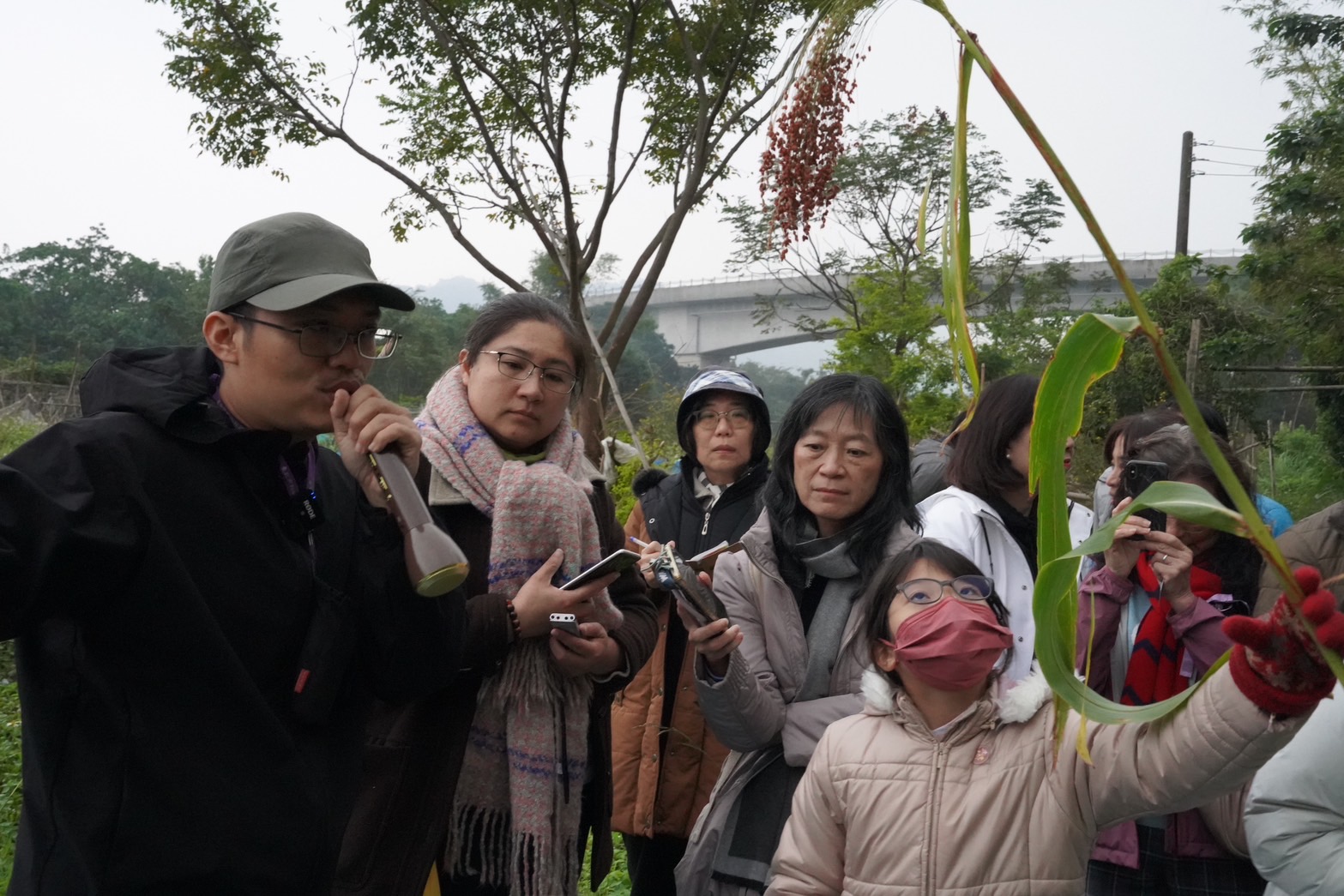 在採集過程中學習植物的特性與食用方法。例如洛神、高粱和菜豆等的相關知識