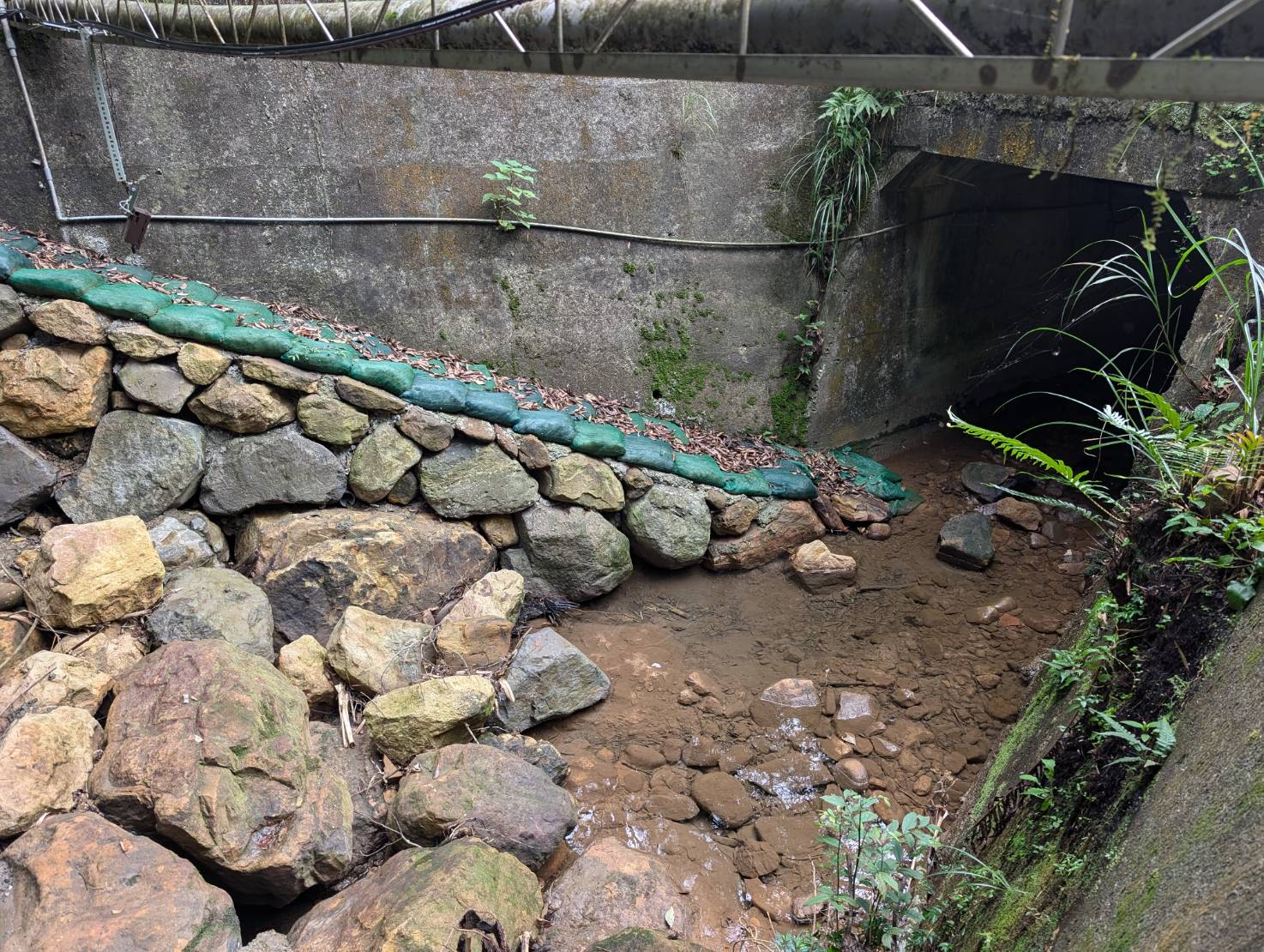 亦設置砌石斜坡道及土袋,供動物行走