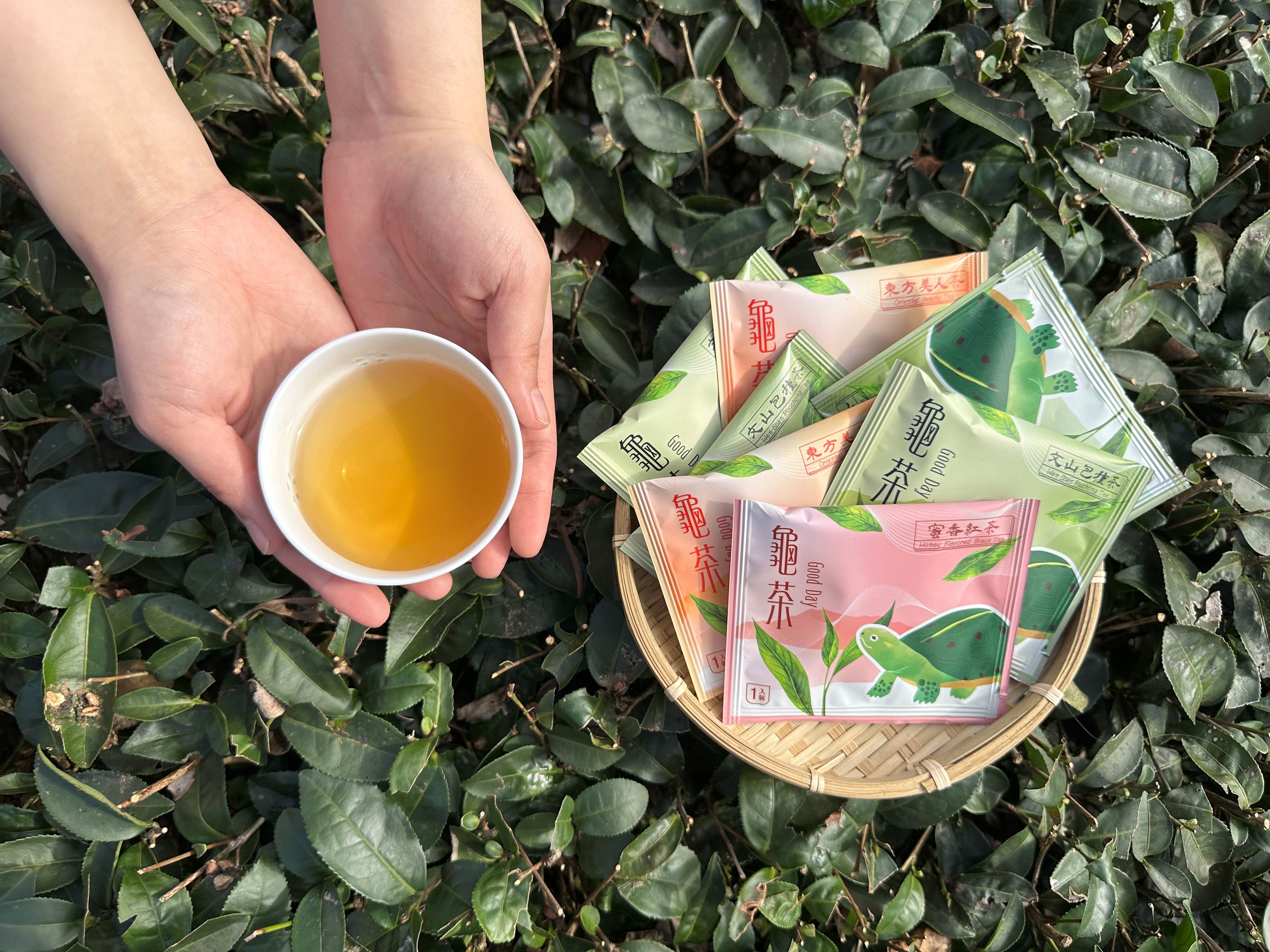 龜茶茶包(照片來源：新北市石碇區永安里辦公處)_0