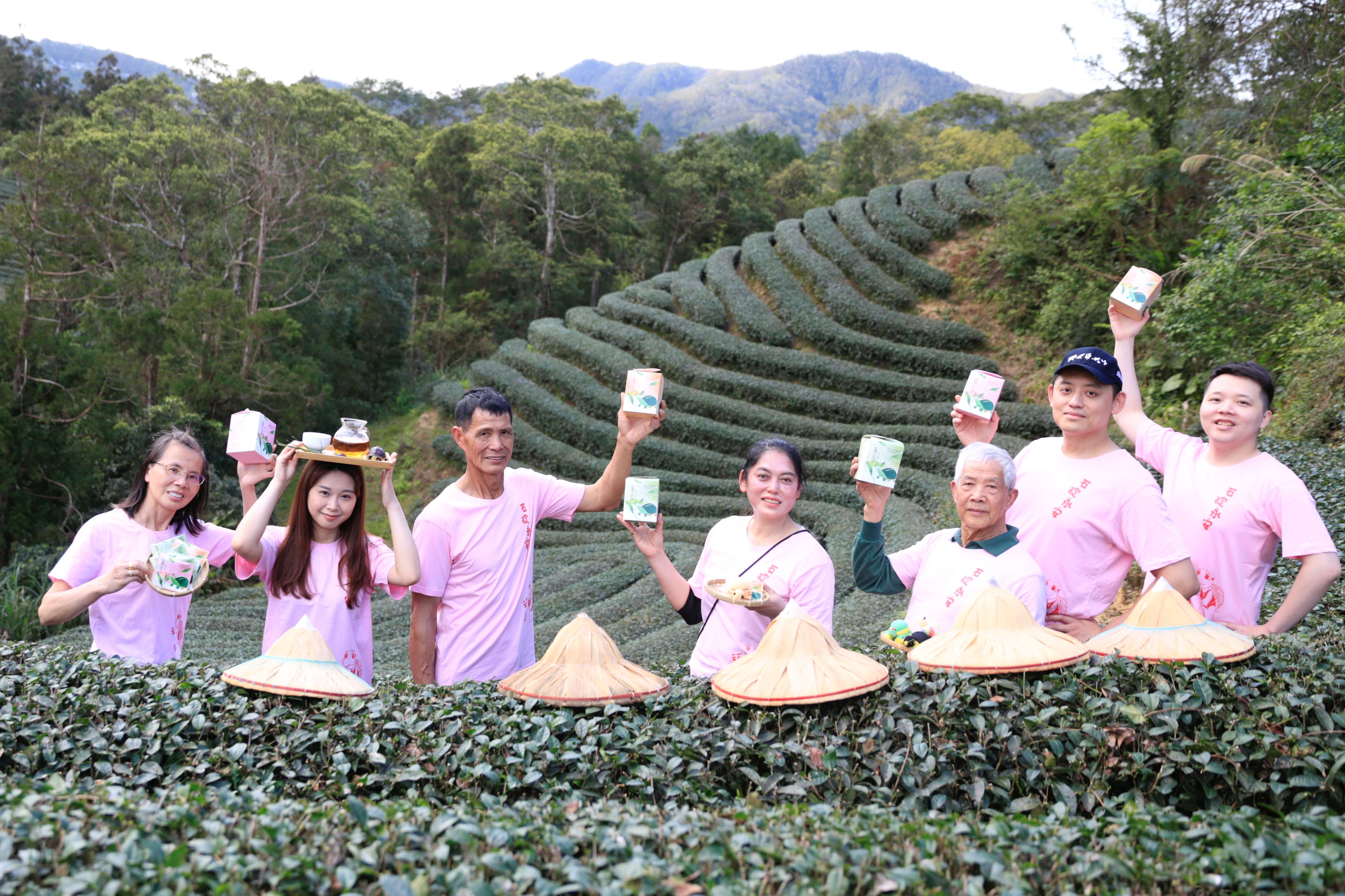石碇永安社區推出環境友善茶葉-龜茶GoodDay(攝影：蔡和成，照片來源：新北市石碇區永安_0