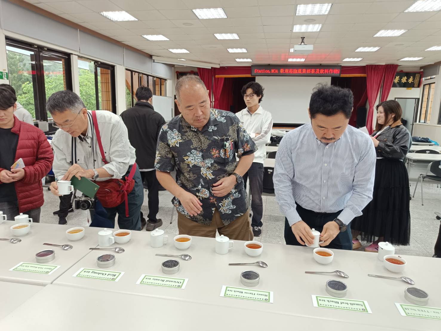 阪南大學師生體驗品茶
