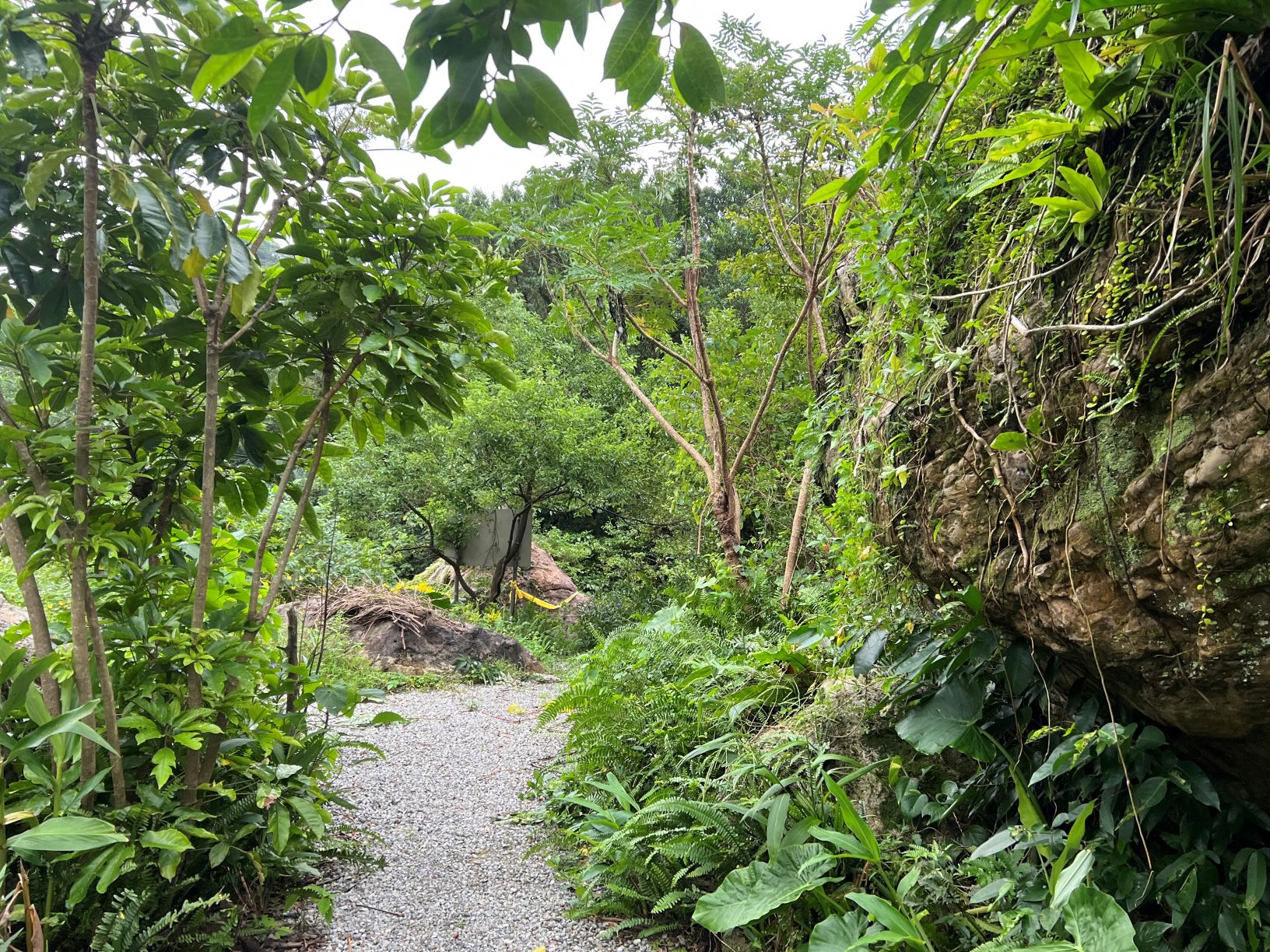 新北三安社區以巨石與原生植物打造自然公園