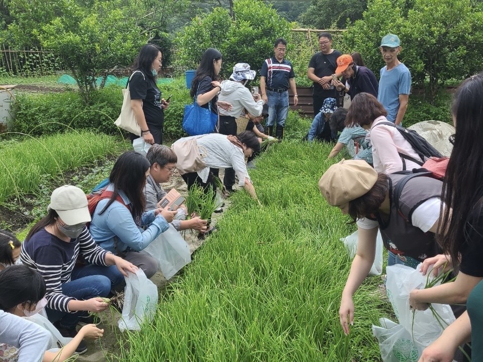 今年推出蔥啟回憶小旅行,帶領遊客親採翠綠珠蔥