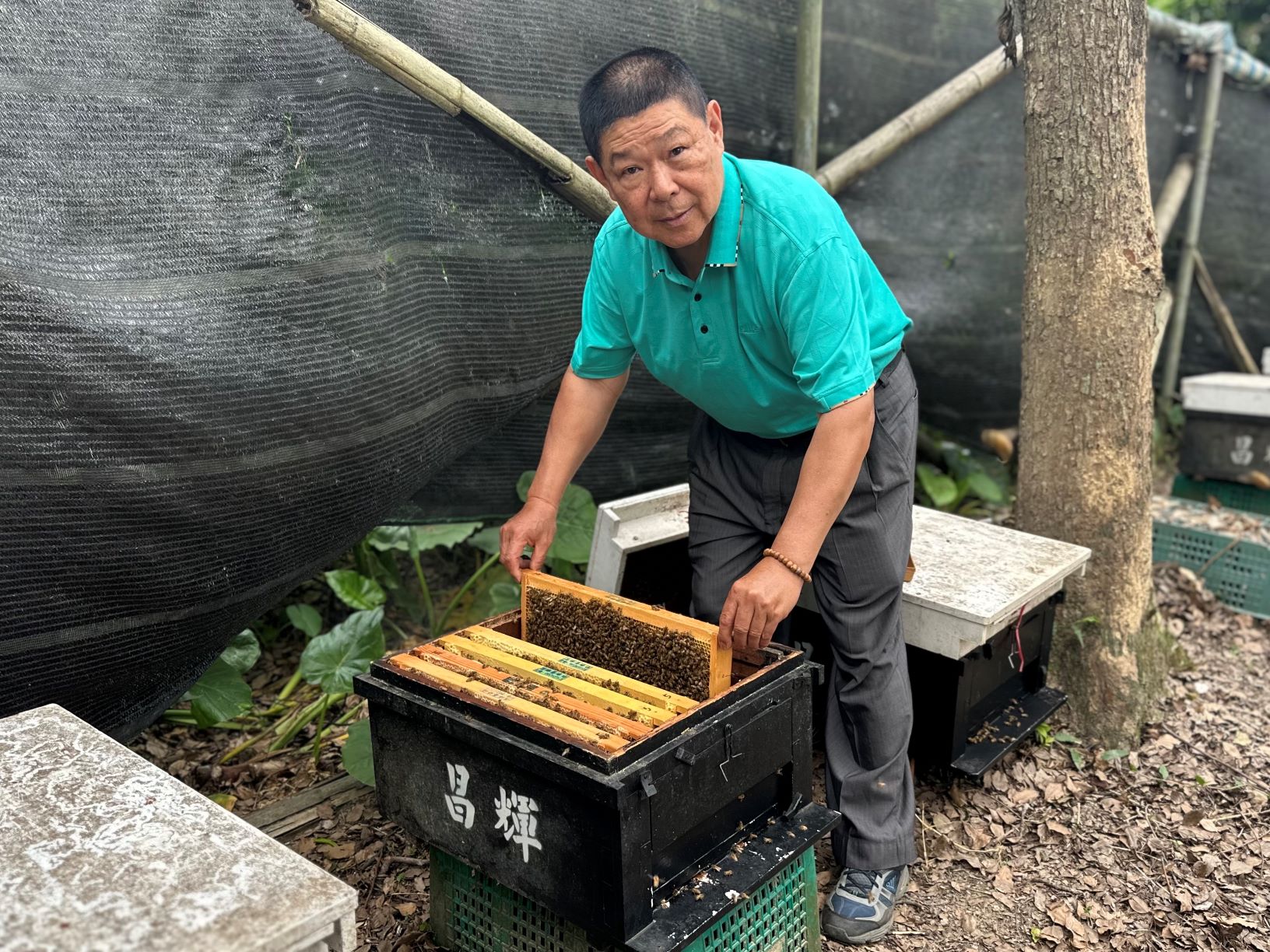 現年70歲的程重讚,自幼便隨著祖父與父親逐花而居,養蜂資歷已逾一甲子。_0