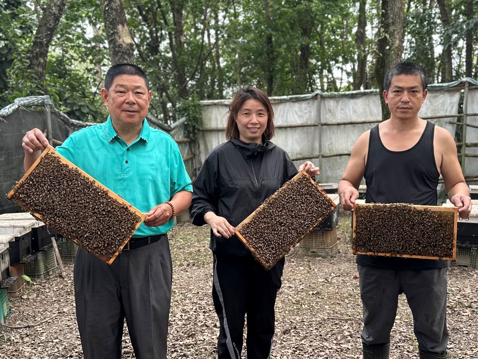 新北市「昌輝養蜂場」至今已傳承四代_0