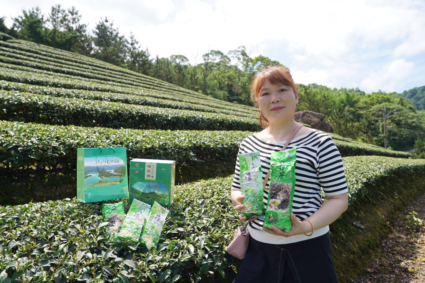 陳佳月分享今年製茶期間晴朗少雨又涼爽自家茶園的產量增加近2成