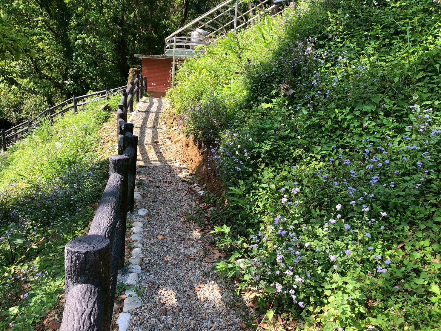 農業局設置碎石固結步道階梯與仿木欄杆,使得遊客賞螢能更加安全