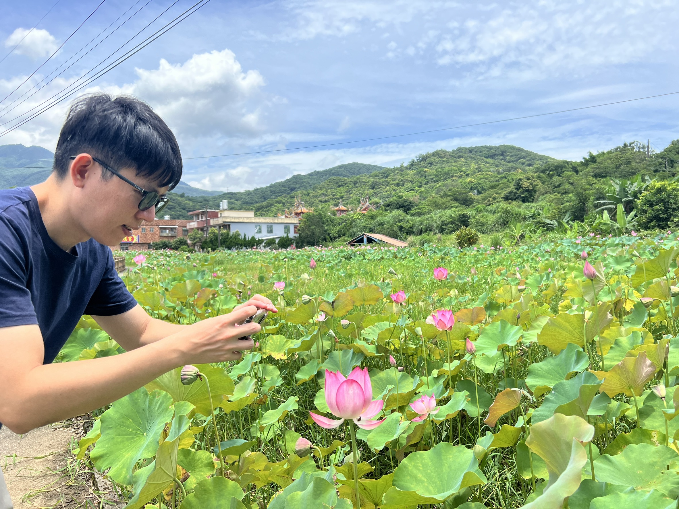 民眾搶拍牡丹蓮