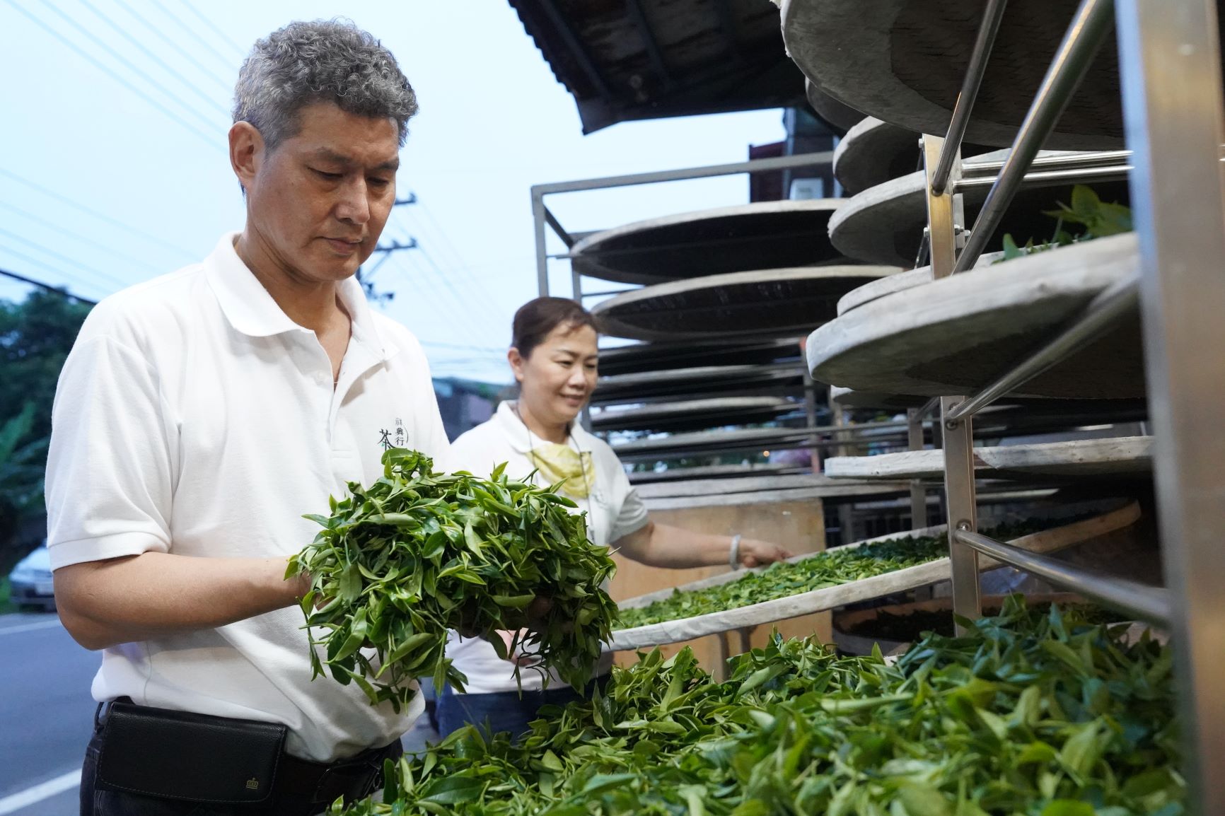 玉峯茗茶業由三峽區製茶第6代的茶農周育成與妻子李秀峯所經營