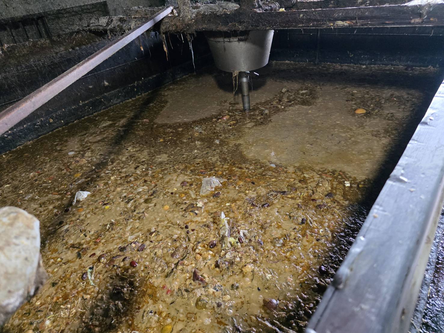 未清空的廚餘槽