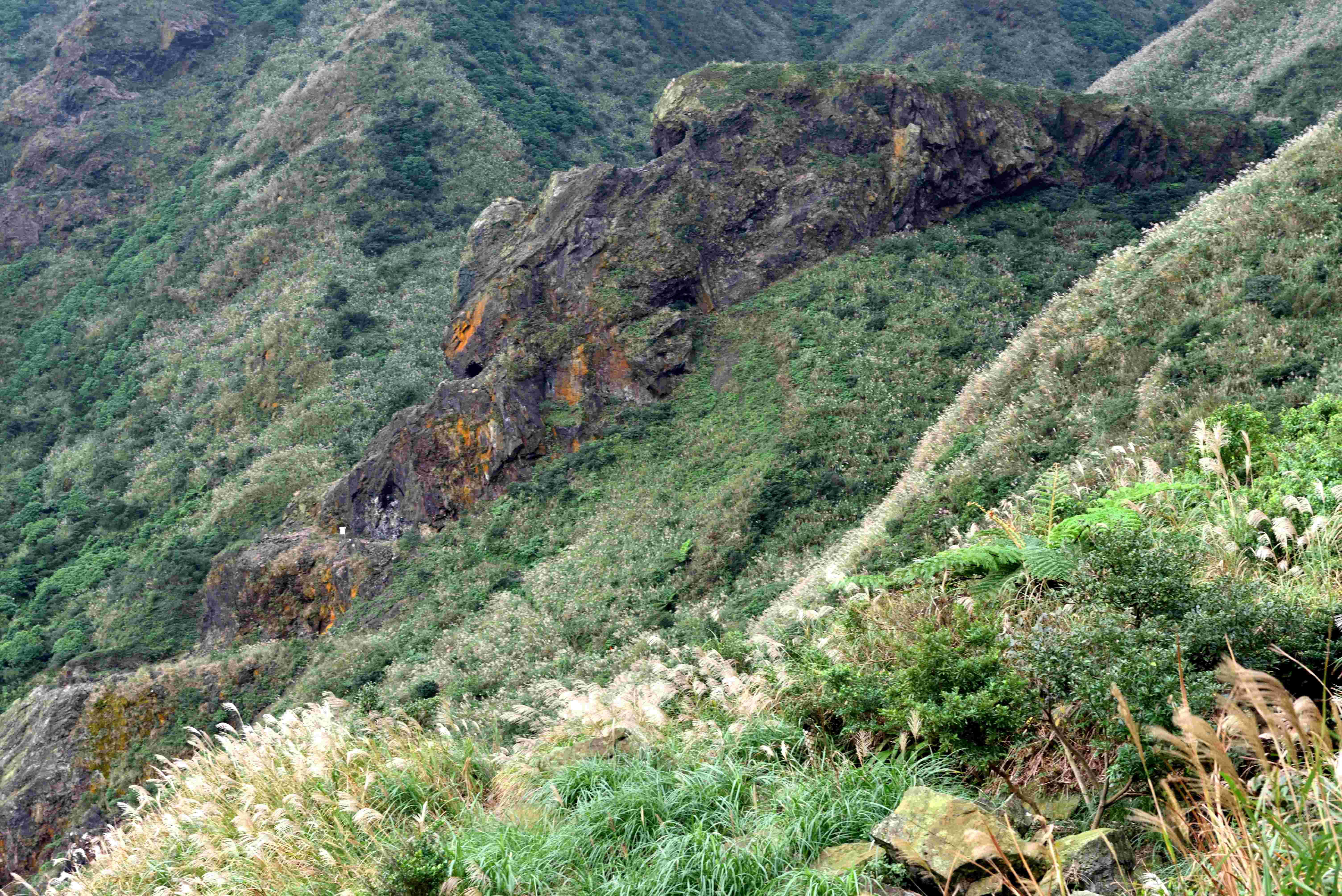 九份金瓜石水湳洞地質公園繼野柳地質公園後，成為新北市第二件通過文資法指定為自然地景，圖為園內地景之一的牛伏礦體