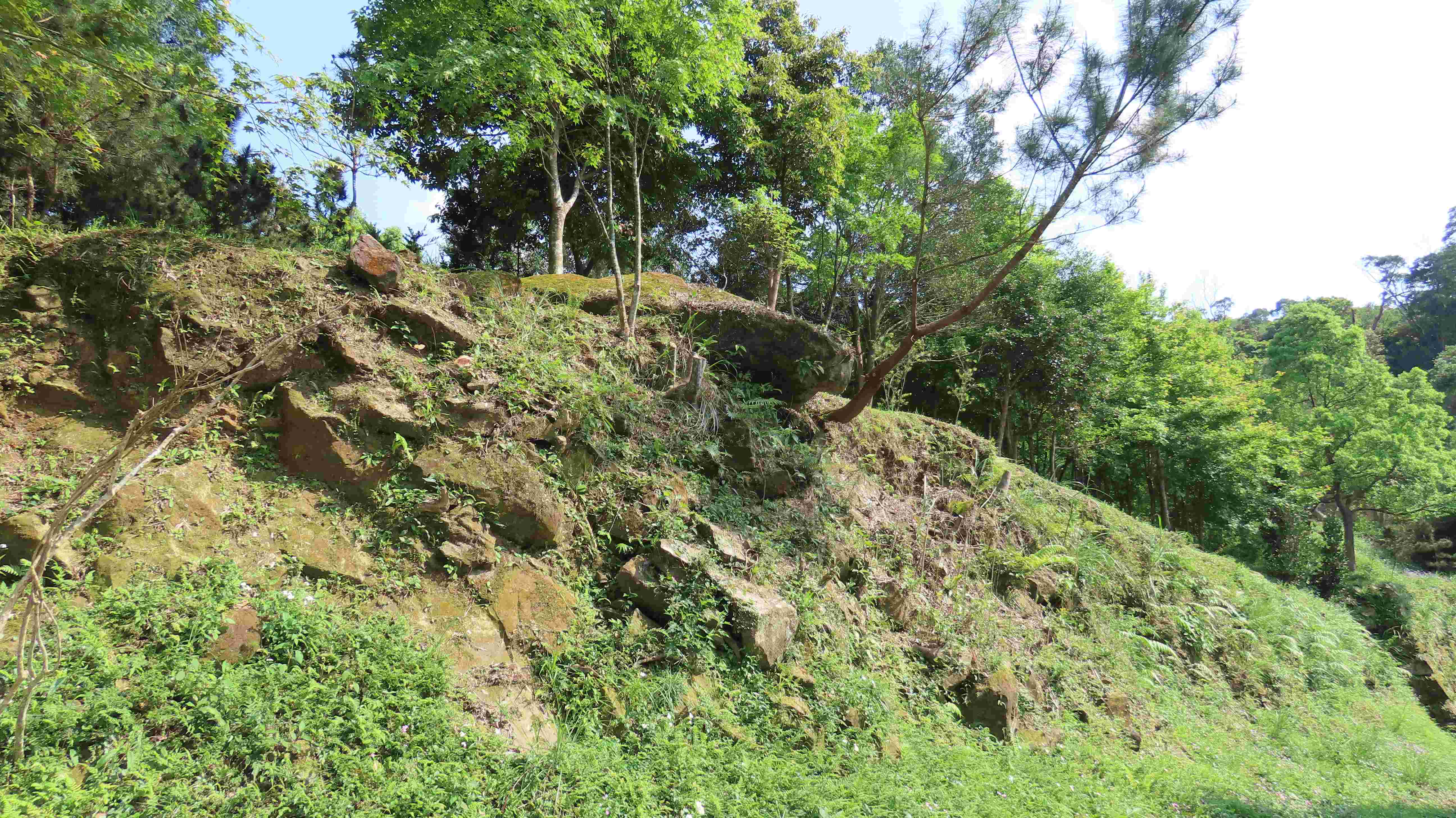 冬季氣候乾燥時期，樹木落葉易堆積，稍有火星就可能點燃整片林木(圖為石碇月扇湖山附近森林)