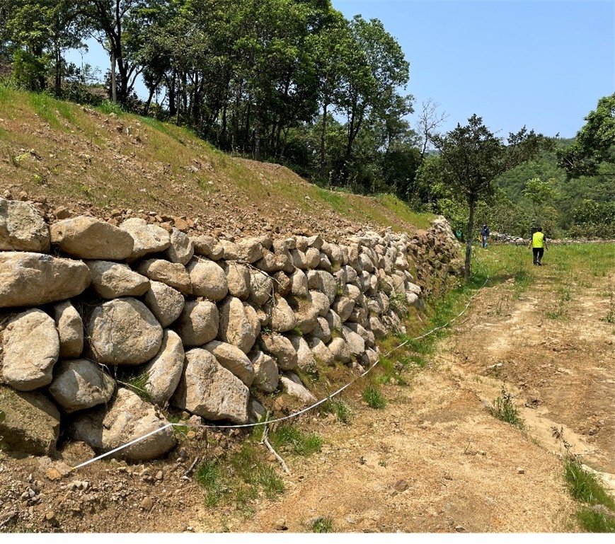 農友吳小姐的農地在技師專業的建議下施作砌石擋土牆更加穩定