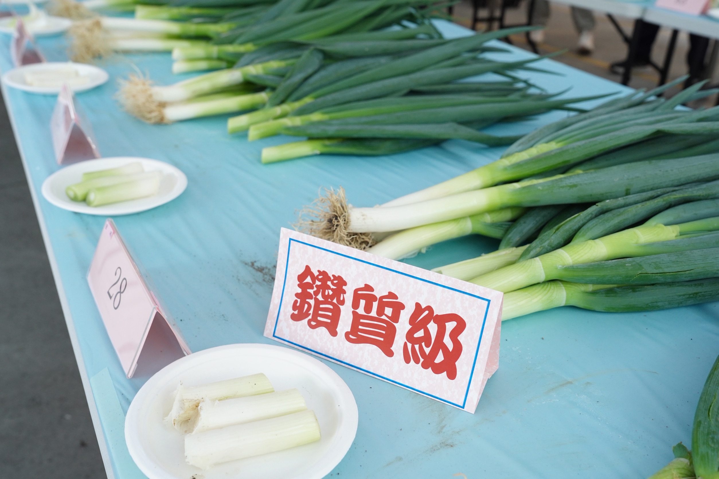 巨蔥又名甜蔥、東京蔥,外型碩大白胖、肉厚纖維細,其口感香氣濃郁、鮮甜不嗆辣,是日式料理的常客。