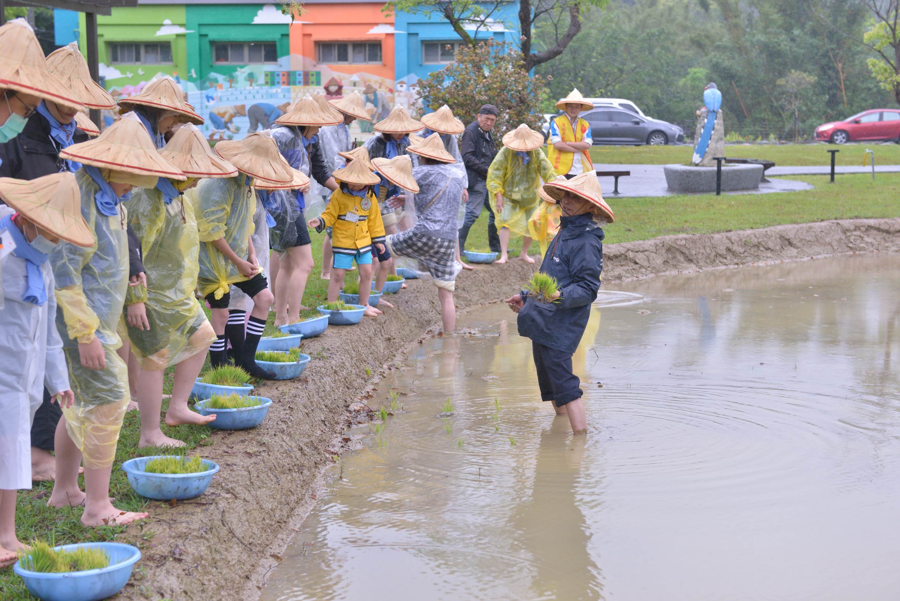 汐止區農會優良農事小組長王新傳擔任農會的食農教育講師，帶領大小朋友一起體驗農作