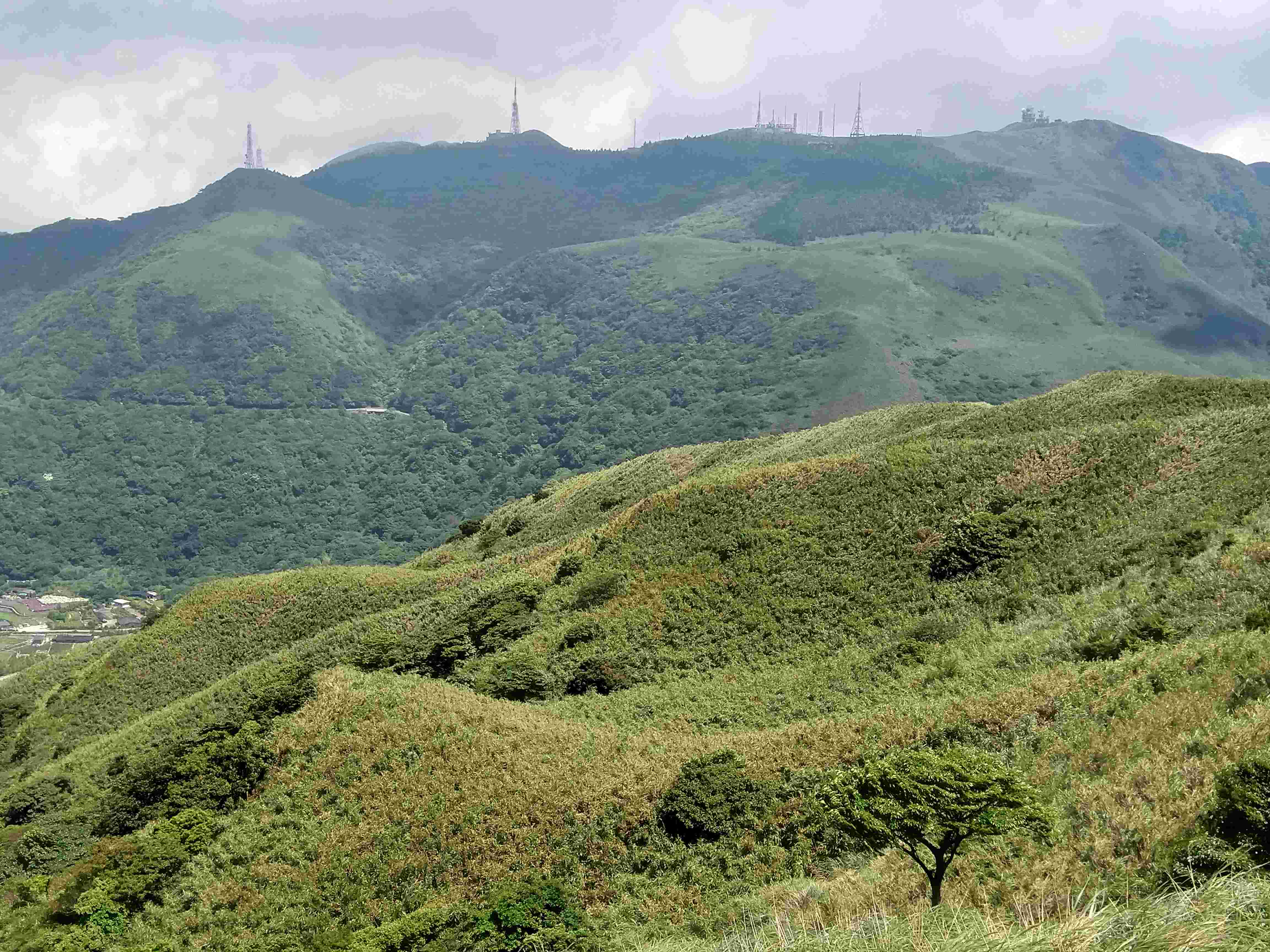 採摘箭竹筍對陽明山周邊居民是重要經濟活動，每年皆吸引許多在地民眾申請採筍證，故遵守相關規範使竹林能永續經營(資料照片)