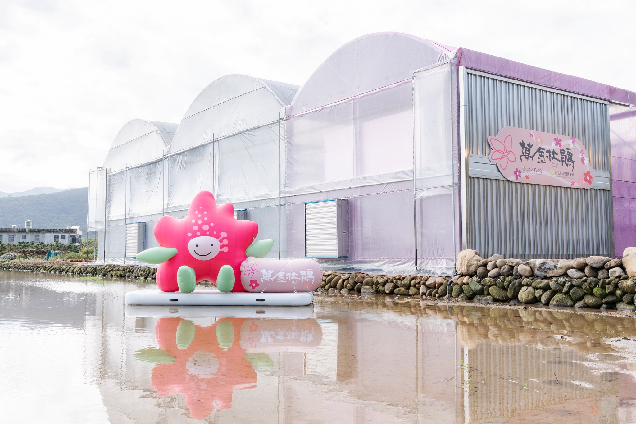 新北市輔導花農打造融合美學的智能環控溫室,提供更具工作效率、美感與舒適的生產環境,杜鵑色系粉紅色與白色為主的溫室外觀,也塑造出令人過目不忘的品牌地標