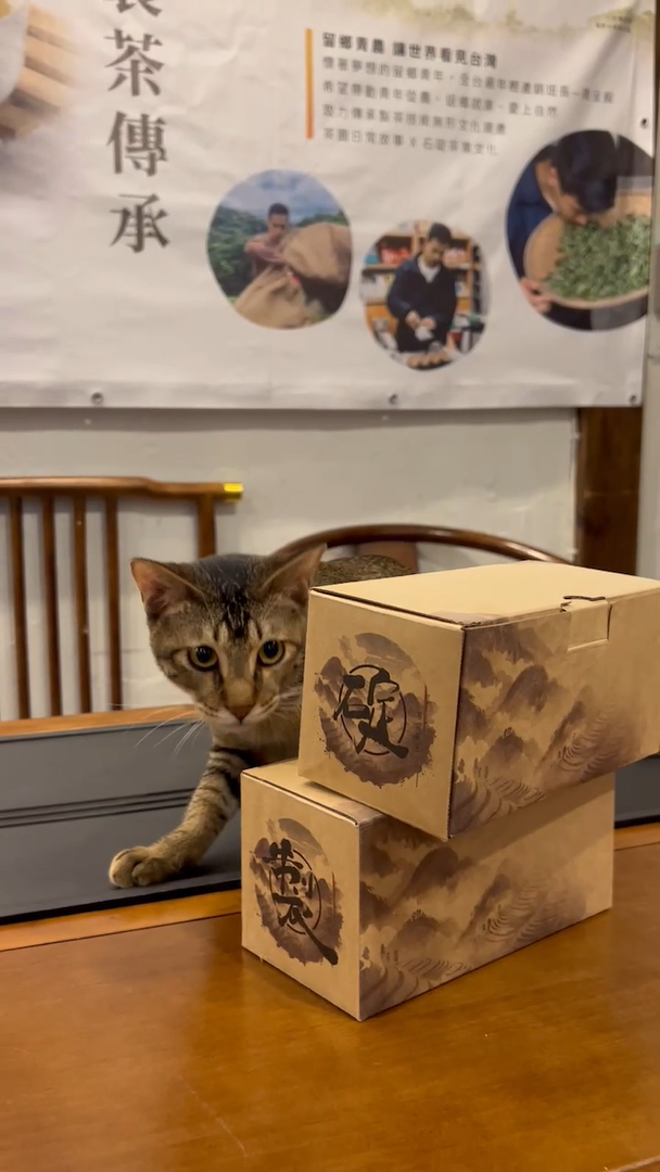 碇製特色田茶禮限量200組免運費，優惠活動至2月23日止