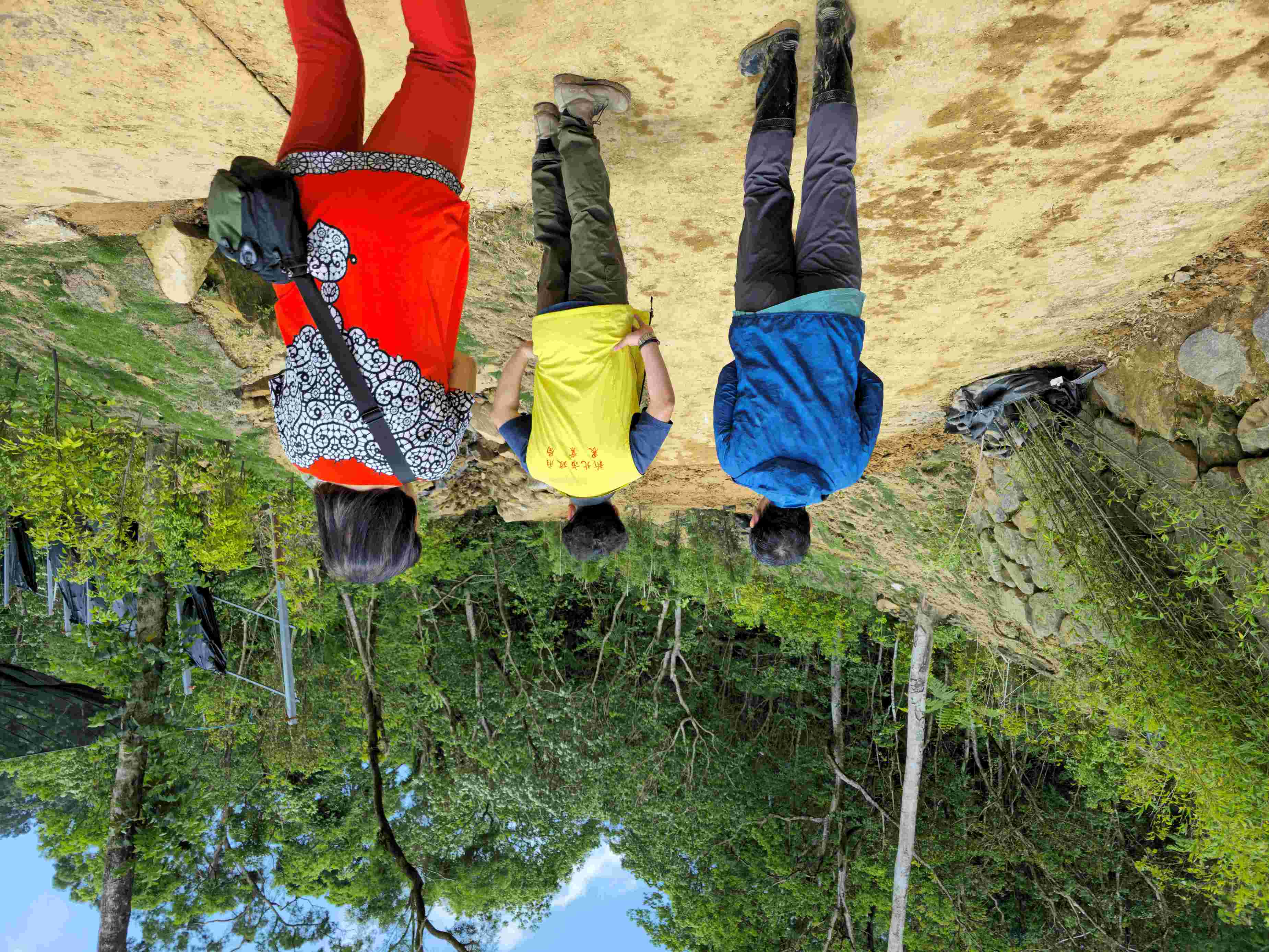 新北山坡地違規取締全年不打烊