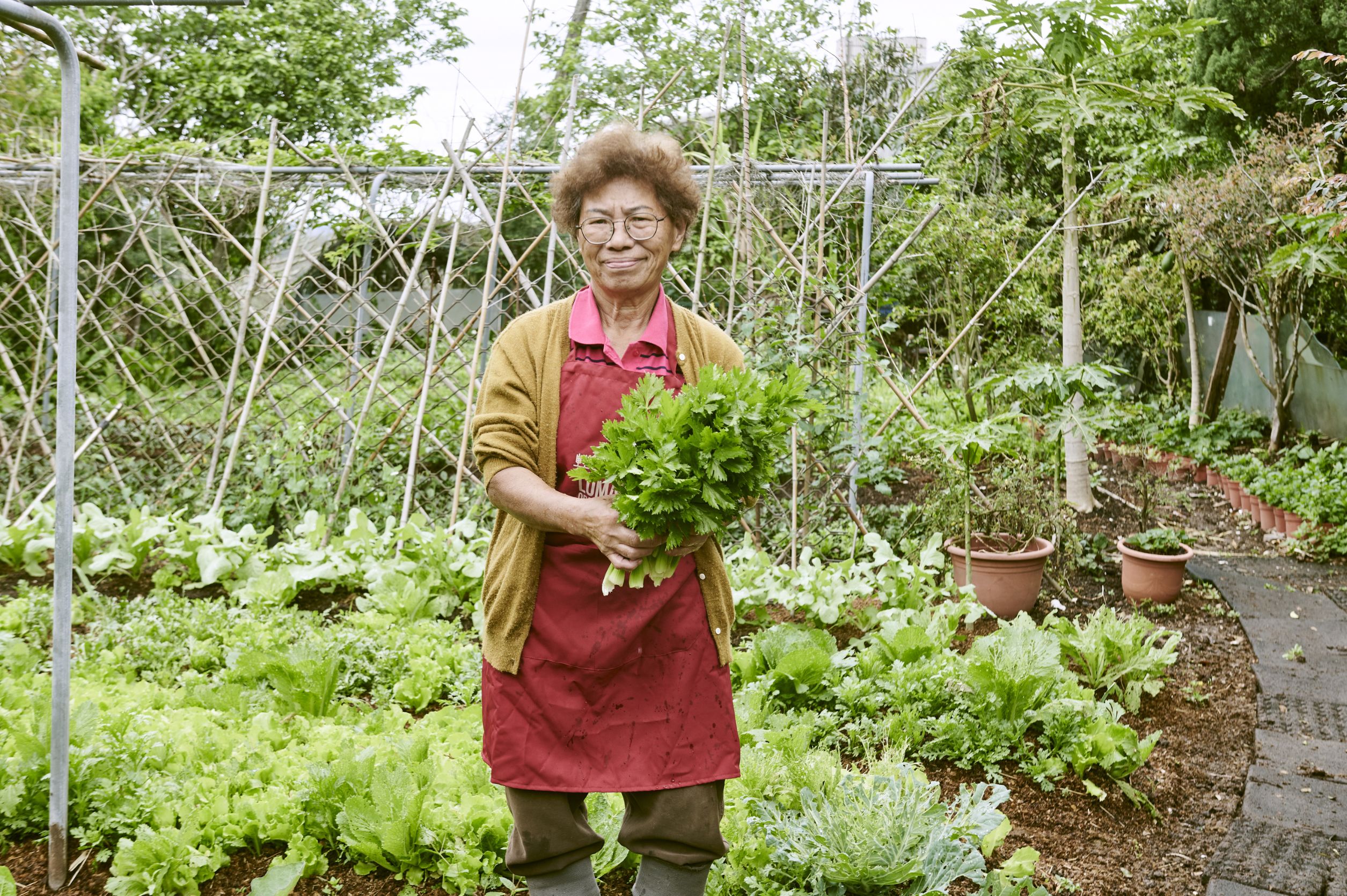 羅媽媽自然農場田園魅力