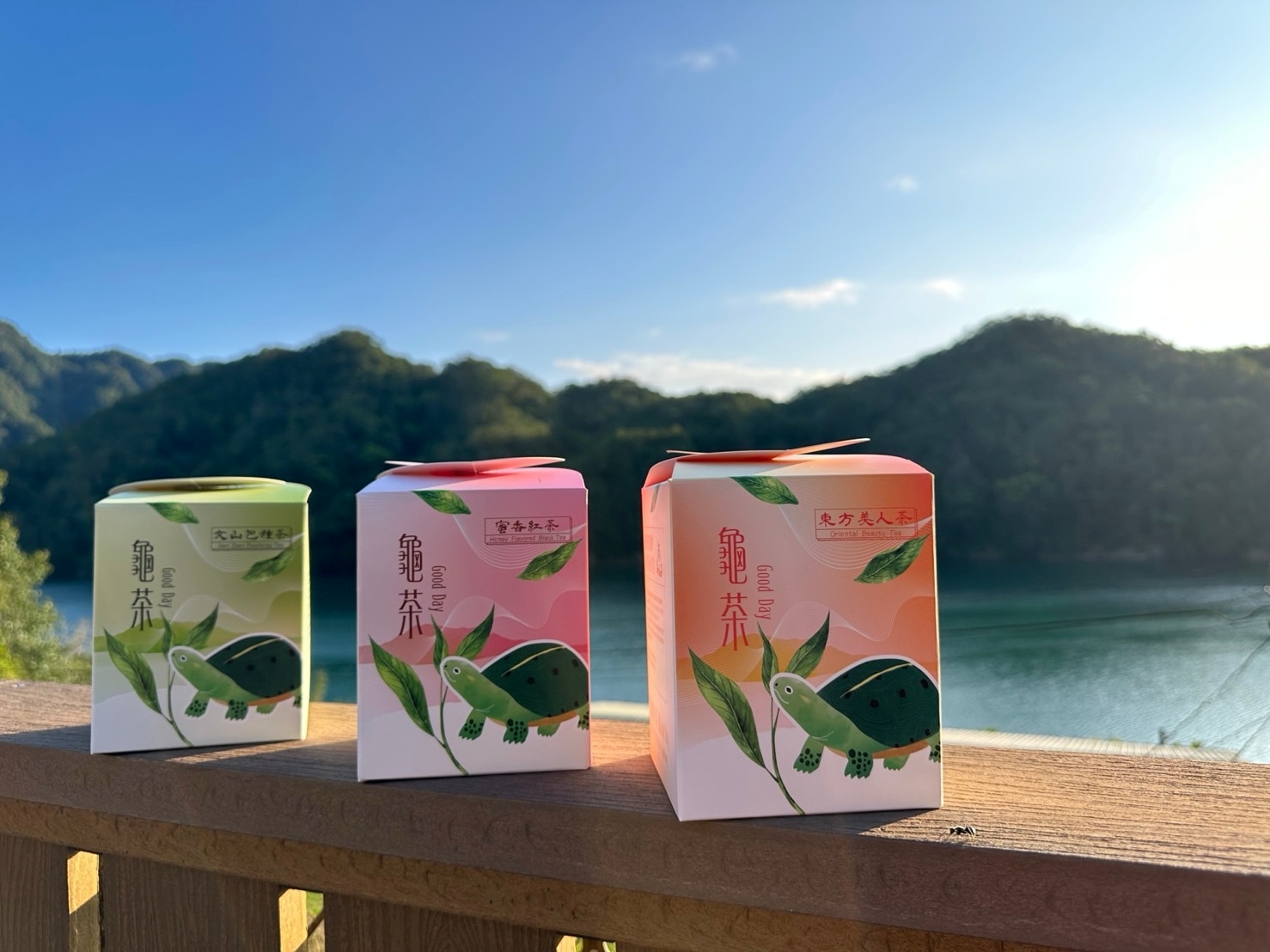 石碇永安社區龜茶