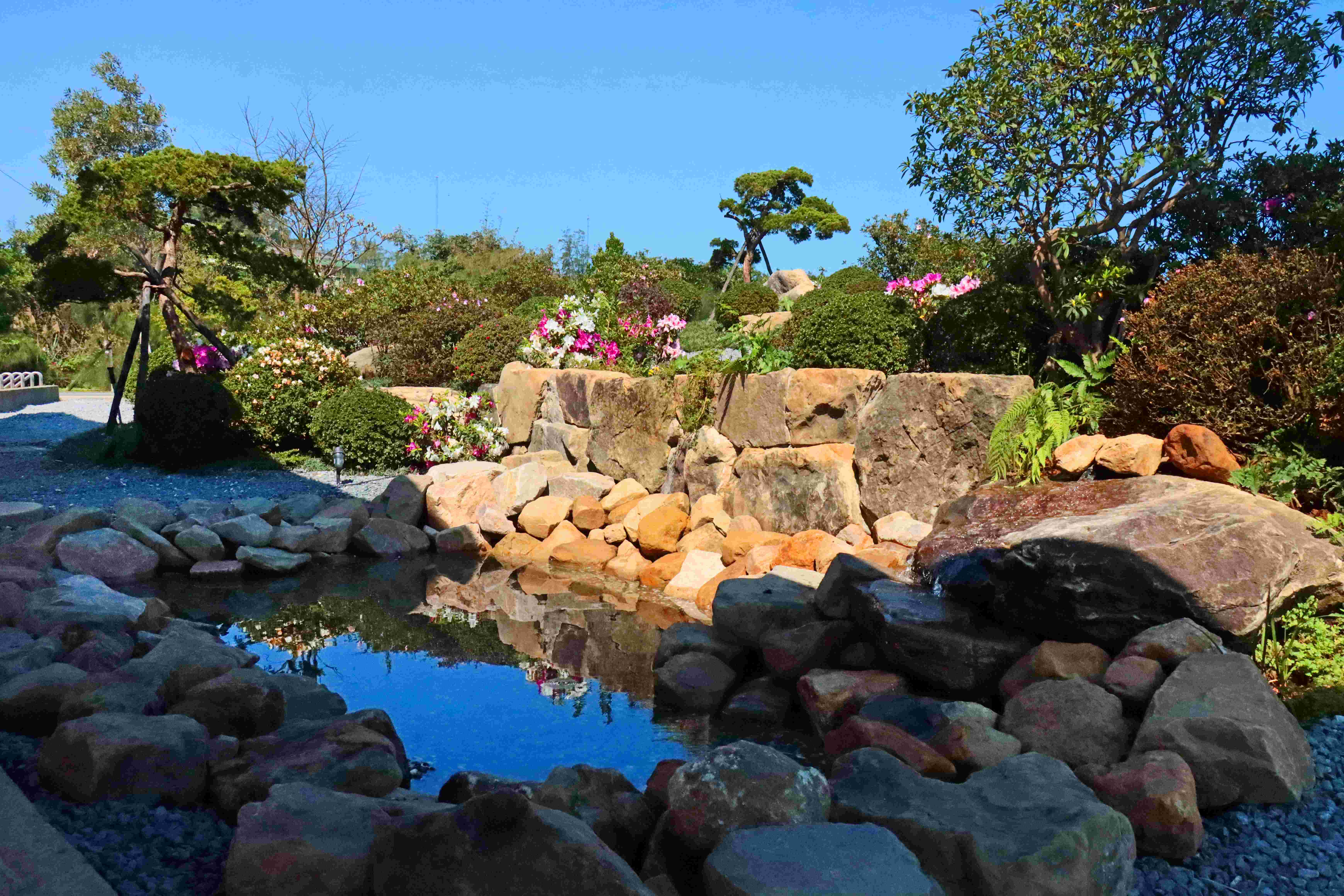 萬里大鵬足湯公園「滿山園」杜鵑庭園造景今（17）日正式開放，以「涼亭為框、足湯為息、杜鵑為韻」的庭園美學，為北海岸增添一處靜心賞景的春日祕境