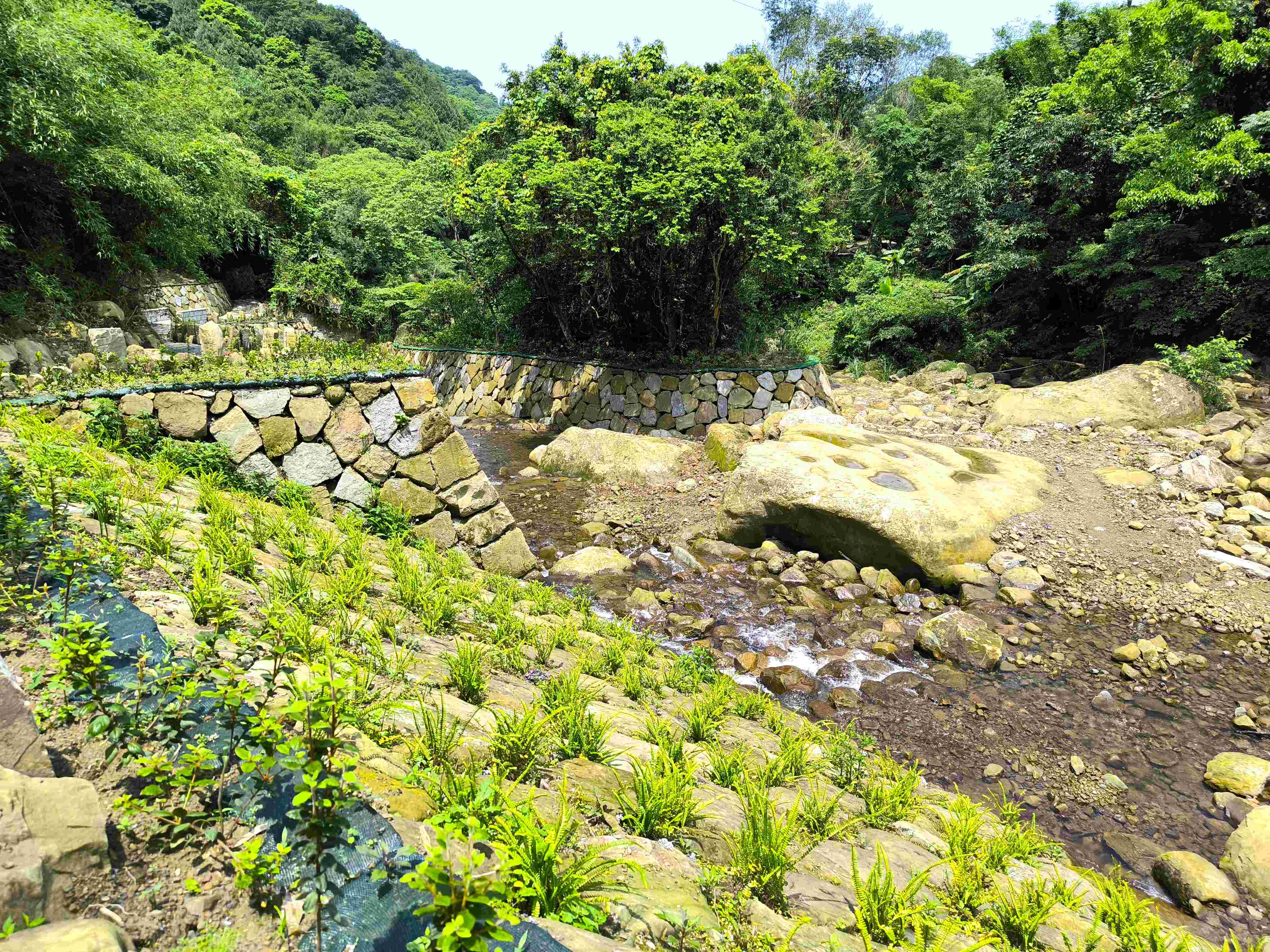 「三峽區安坑里鹿母潭溪5月豪雨災害復建工程」採用就地取材，利用巨石與砌石間的孔隙營造多樣化棲地
