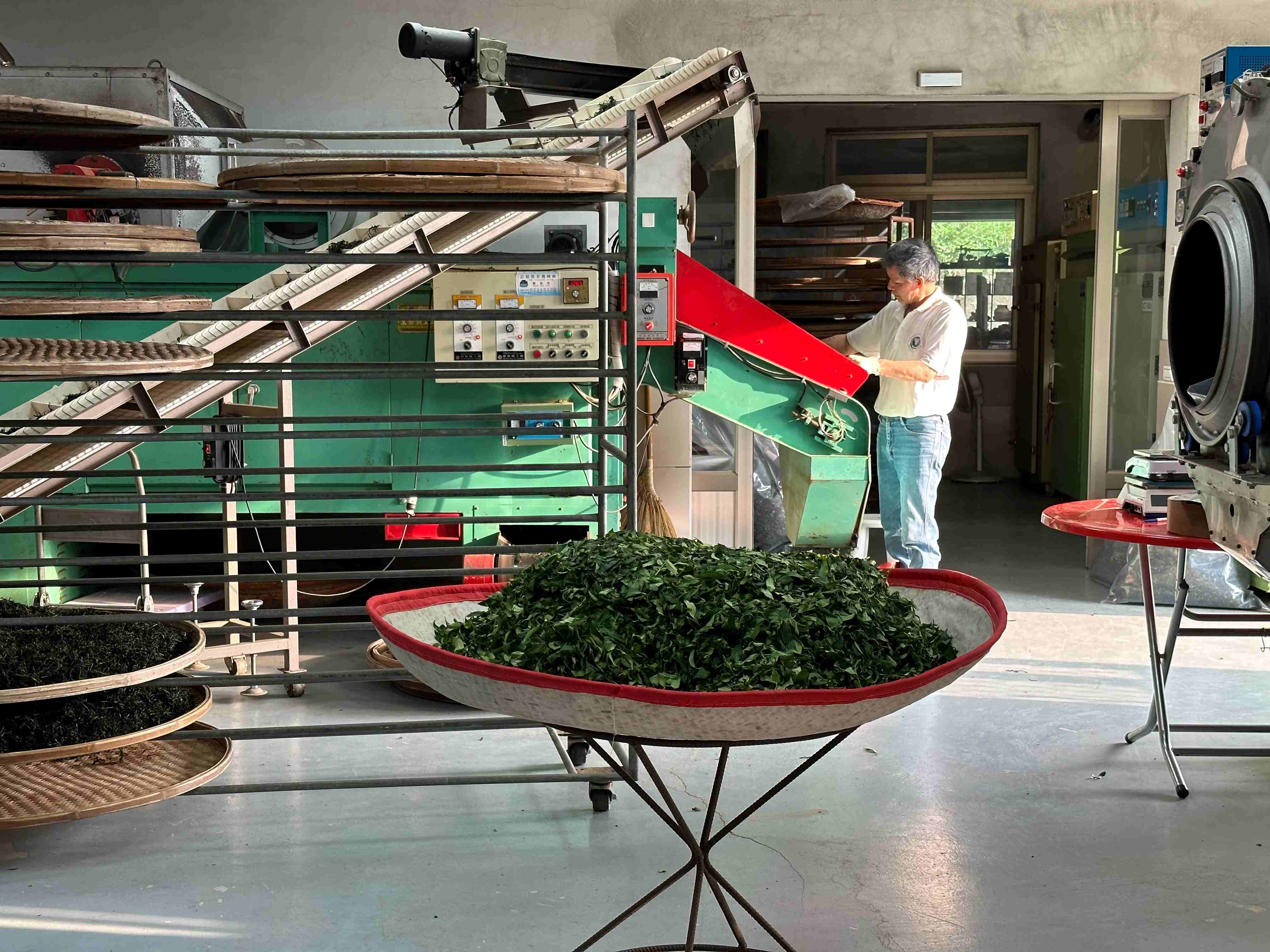 5星製茶廠維持環境整潔及製程動線流暢，才能製作出安心安全的優質好茶，圖為茶農確認茶葉乾燥情形