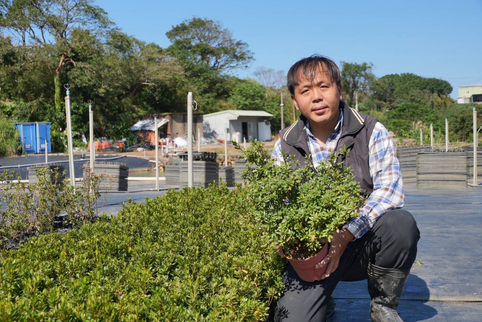 副會長黃信輝於三芝區經營「富朵苗圃」種植許多杜鵑與濱柃木