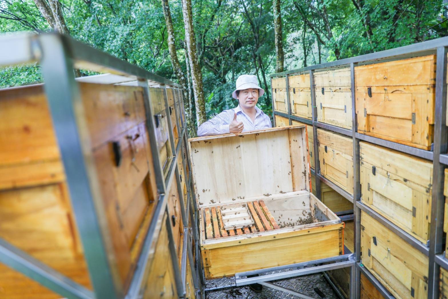 「蜂樺蜂蜜」第三代負責人陳冠樺,將「傳統生產」與「體驗教育」深度結合,致力透過互動參與,引導大眾認同農產品背後的職人精神與永續價值。