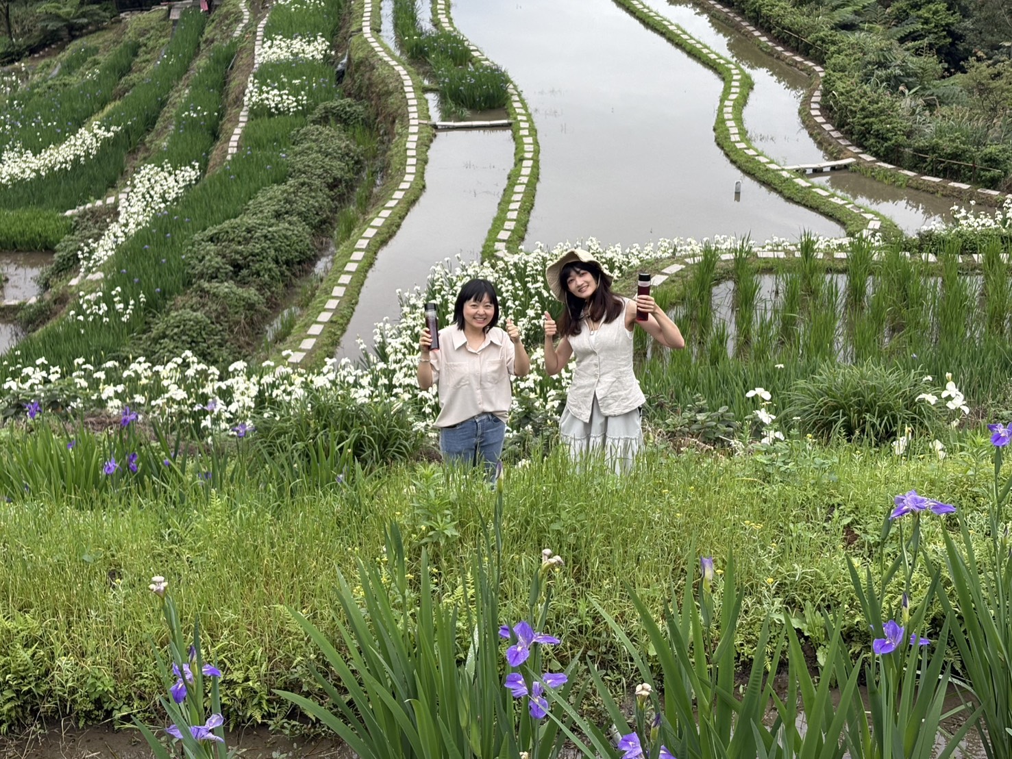 每年4月中旬至5月中旬是石門嵩山社區鳶尾花盛開的季節