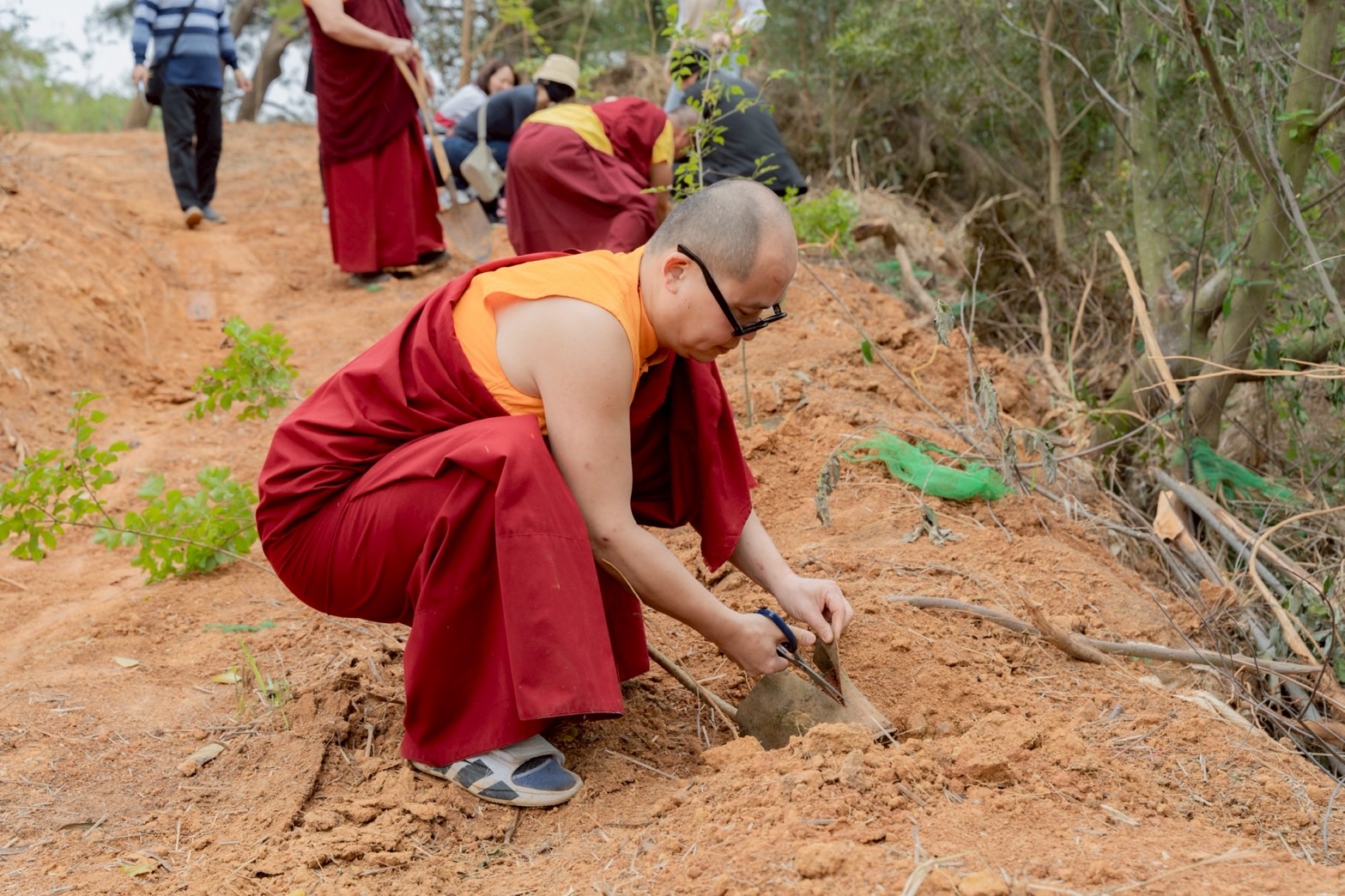 配合當地環境，種植耐風樹種光蠟樹和九芎