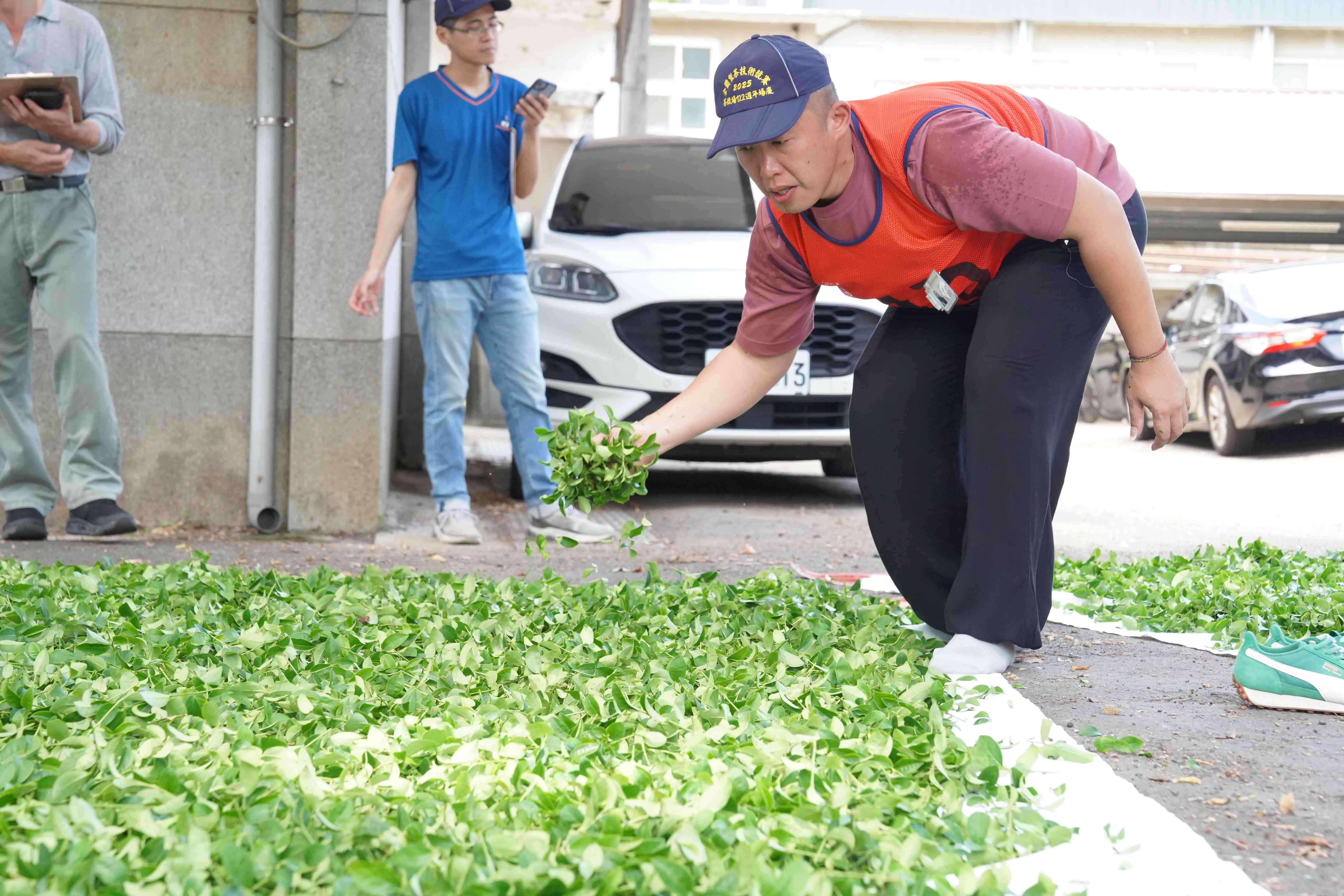 透過茶葉評鑑及製茶技術競賽,輔導農民精進技術並生產在地好茶,圖為張宏圩參與全國製茶技術競賽