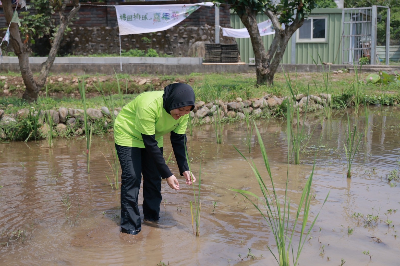 水梯田不僅是農業生產場域,更成為市民親近土地、感受農村魅力的自然教室。